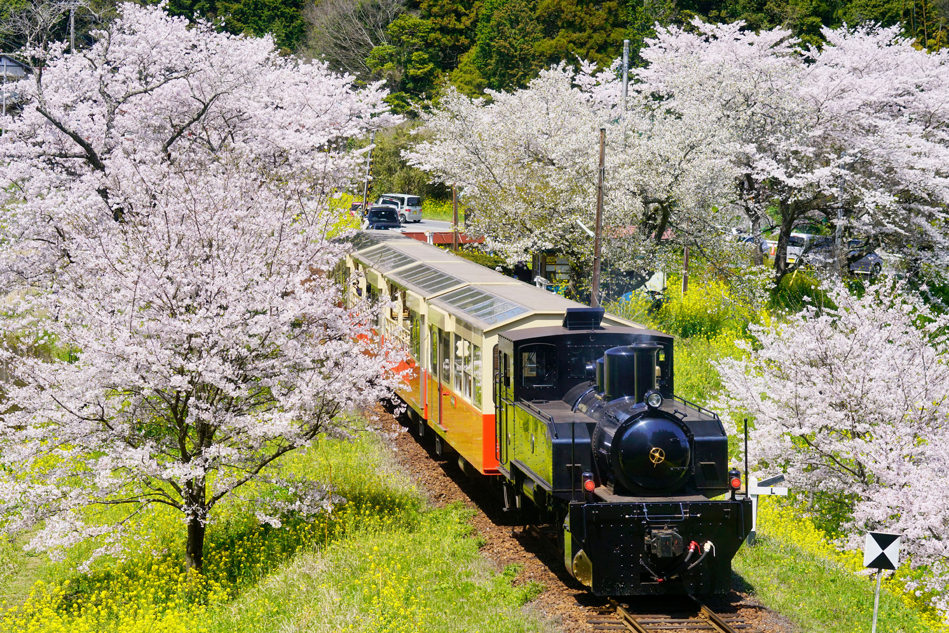 ソニーα7R II　FE 70-300mm F4.5-5.6 G OSS（99mm）　マニュアル露出（F7.1、1/500秒）　ISO400　WB:太陽光　風景