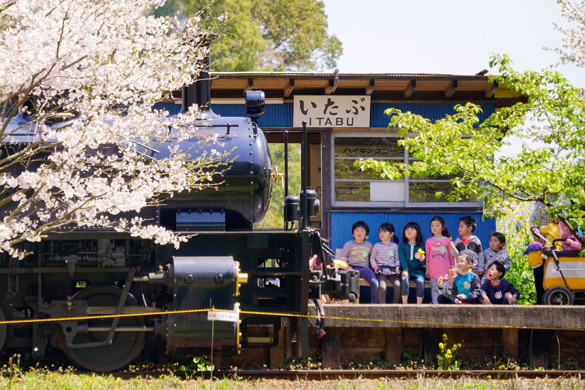 ソニーα7R II　FE 70-300mm F4.5-5.6 G OSS（203mm）　マニュアル露出（F5.6、1/640秒）　ISO400　WB:太陽光　風景