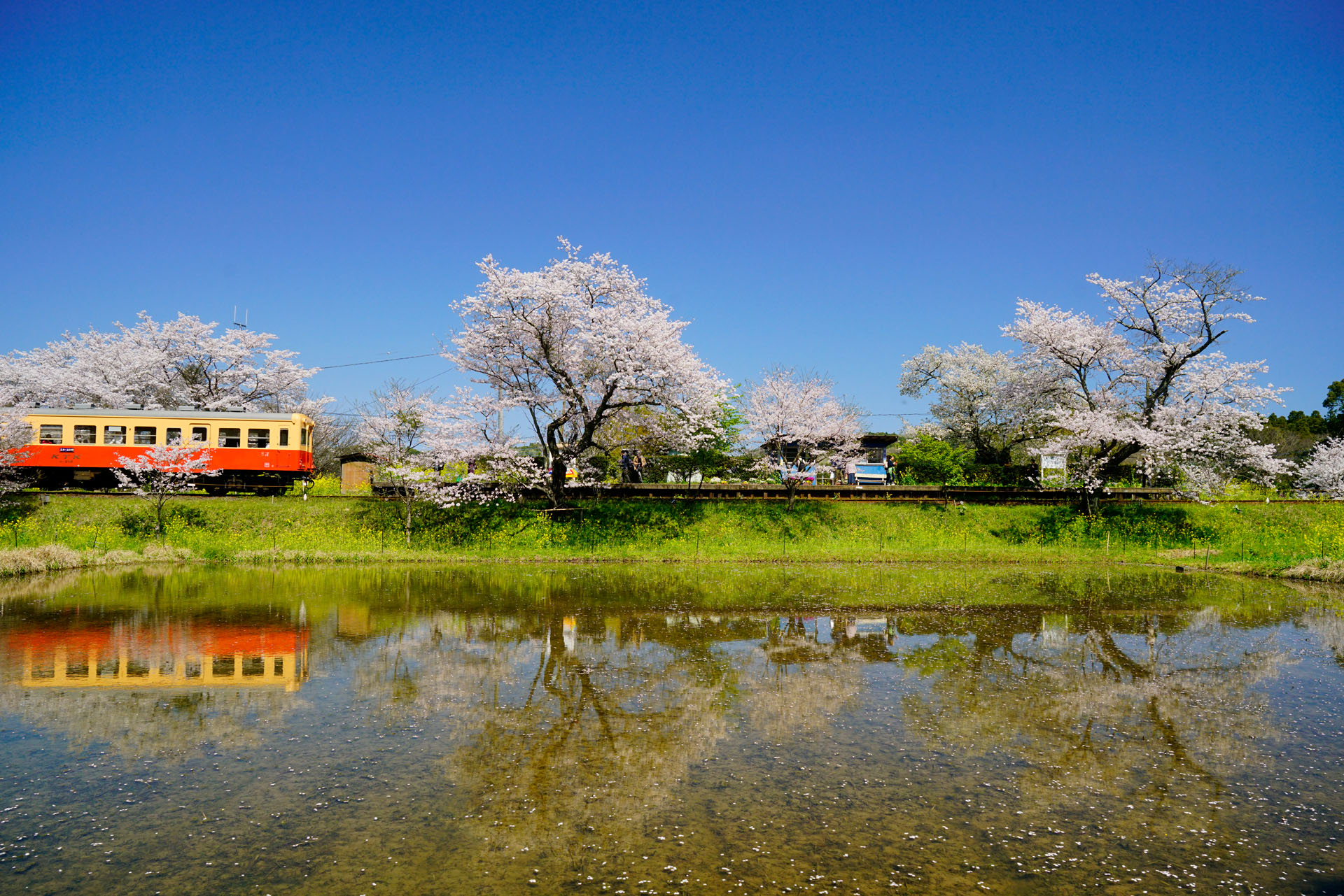 ソニーα7R II　FE 24-70mm F4 ZA OSS（29mm）　マニュアル露出（F8、1/640秒）　ISO400　WB:太陽光　風景