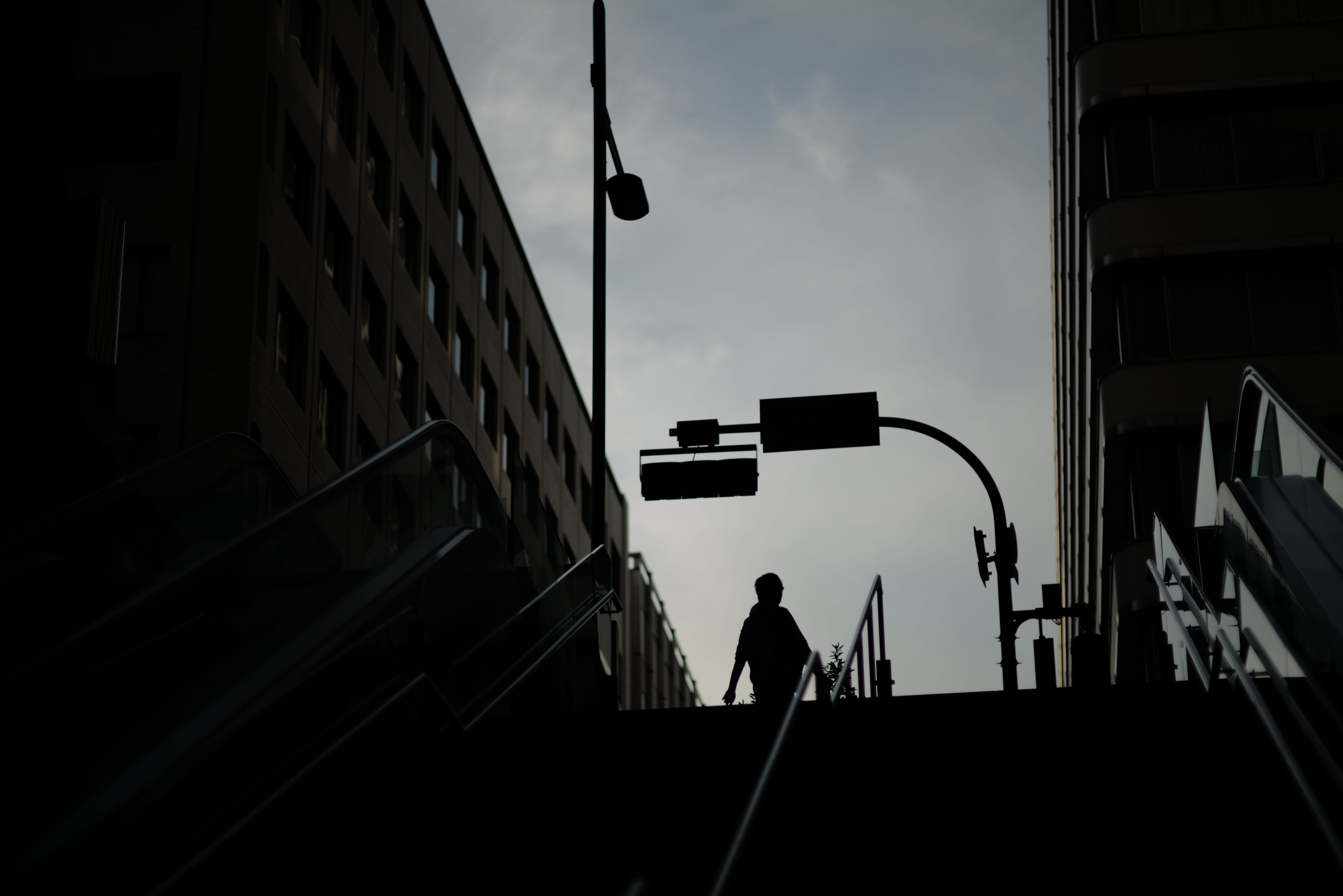 ライカSL2　ズミルックスM F1.4/75mm　F2.8　1/10,000秒　ISO100　WBオート