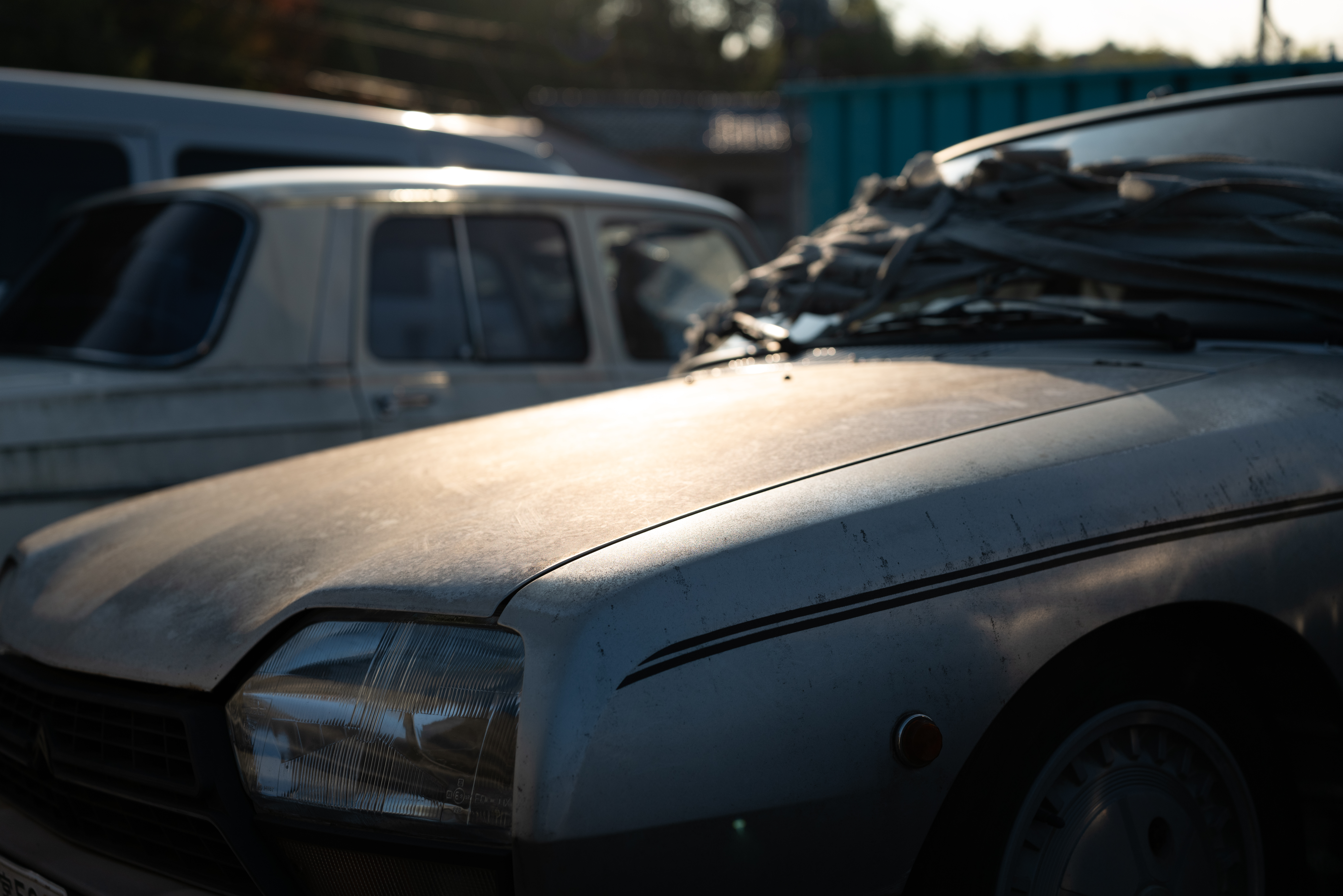 ライカSL2　アポ・ズミクロンSL F2.0/50mm ASPH.　F2.8　1/5,000秒　ISO200　WBオート