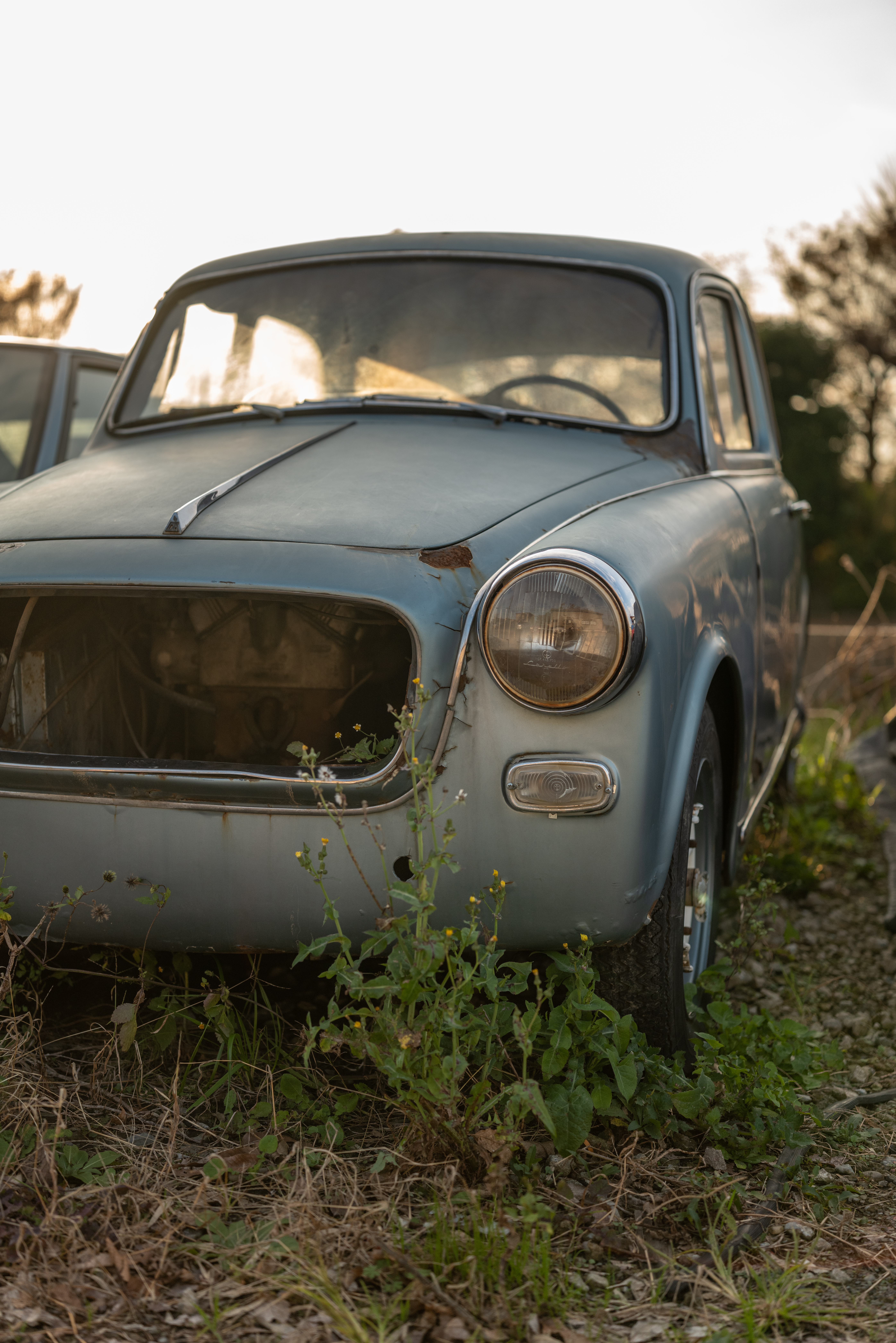 ライカSL2　アポ・ズミクロンSL F2.0/50mm ASPH.　F2　1/2,500秒　ISO200　WBオート