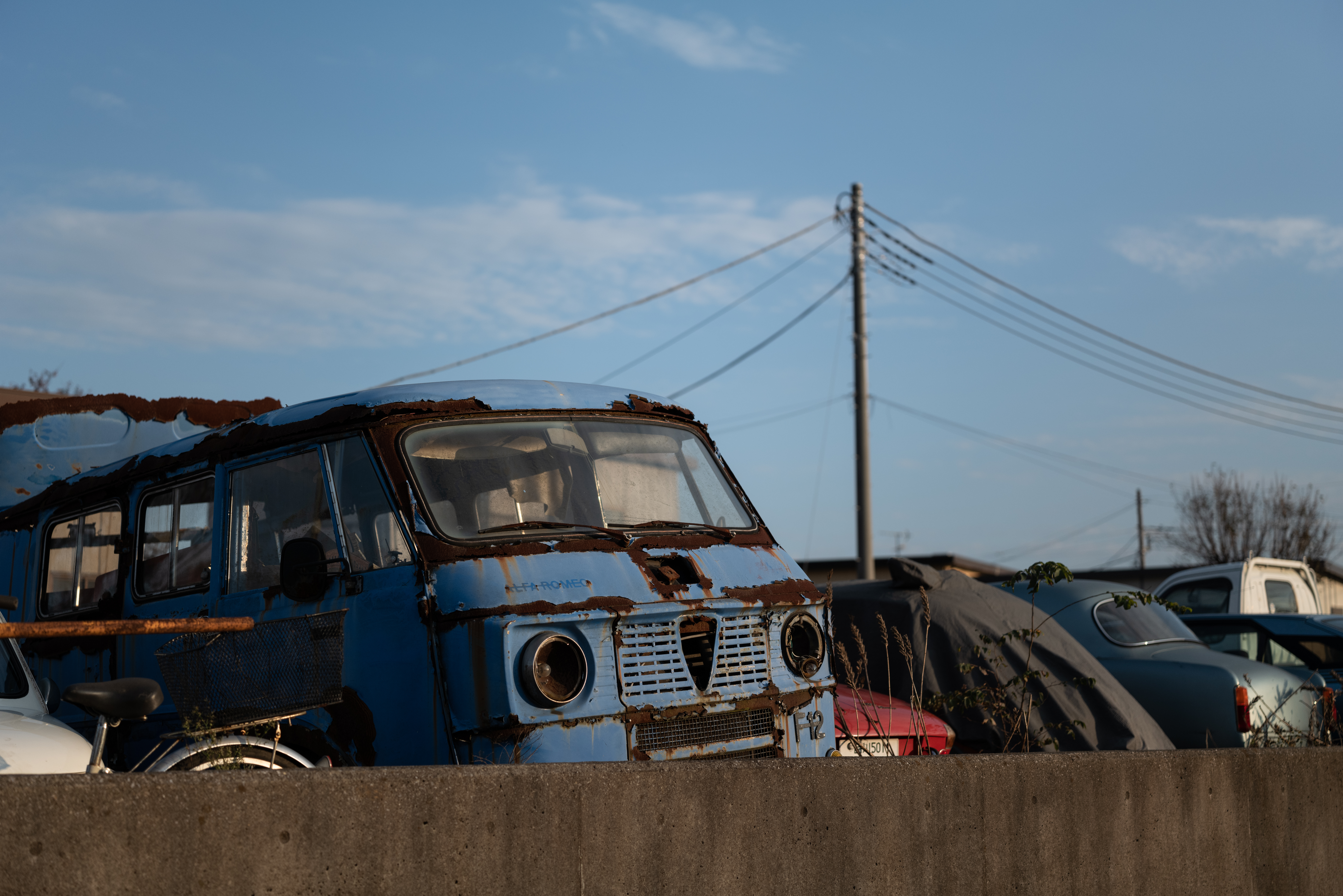 ライカSL2　アポ・ズミクロンSL F2.0/50mm ASPH.　F2　1/6,400秒　ISO200　WBオート