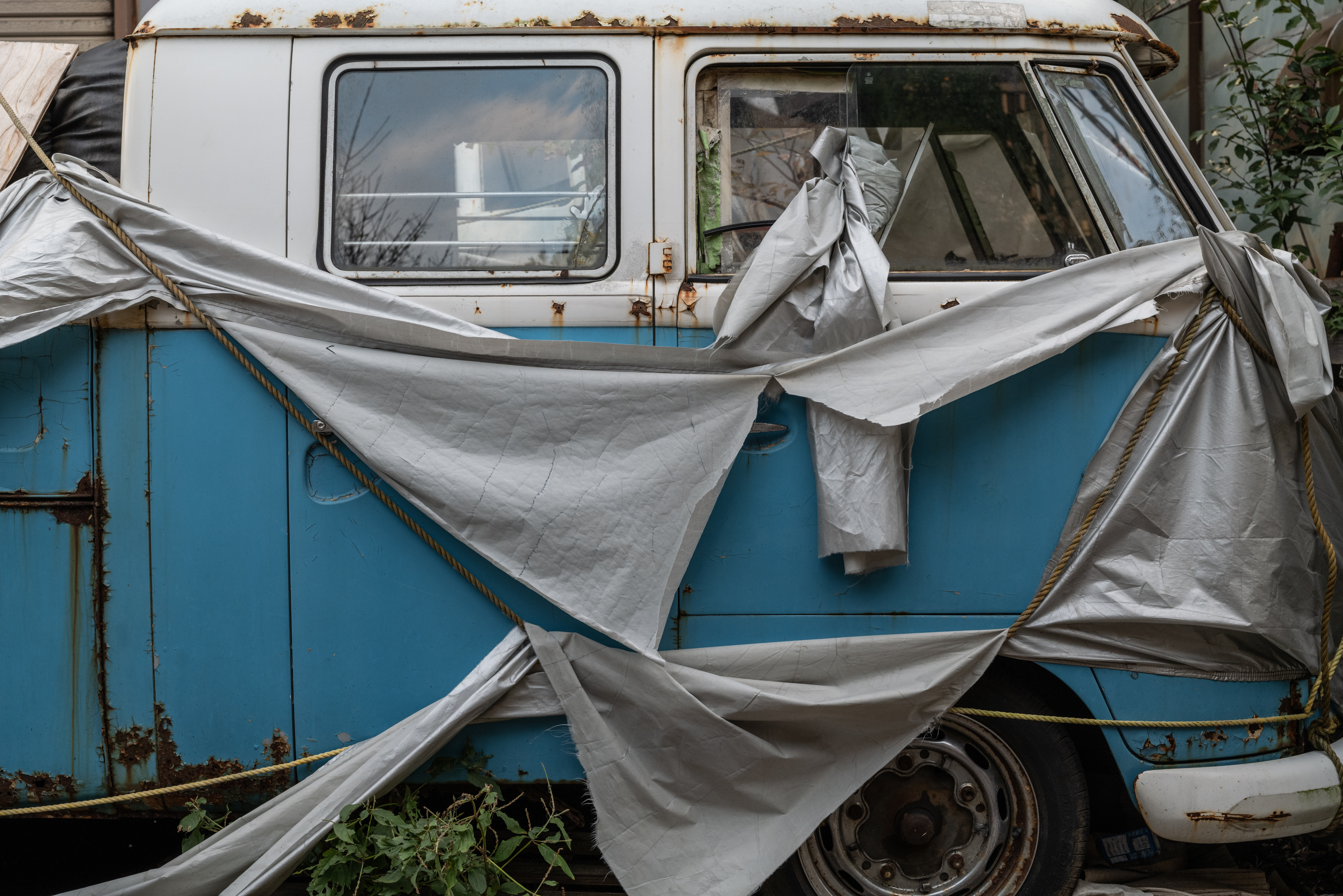 ライカSL2　アポ・ズミクロンSL F2.0/50mm ASPH.　F5.6　1/200秒　ISO800　WBオート