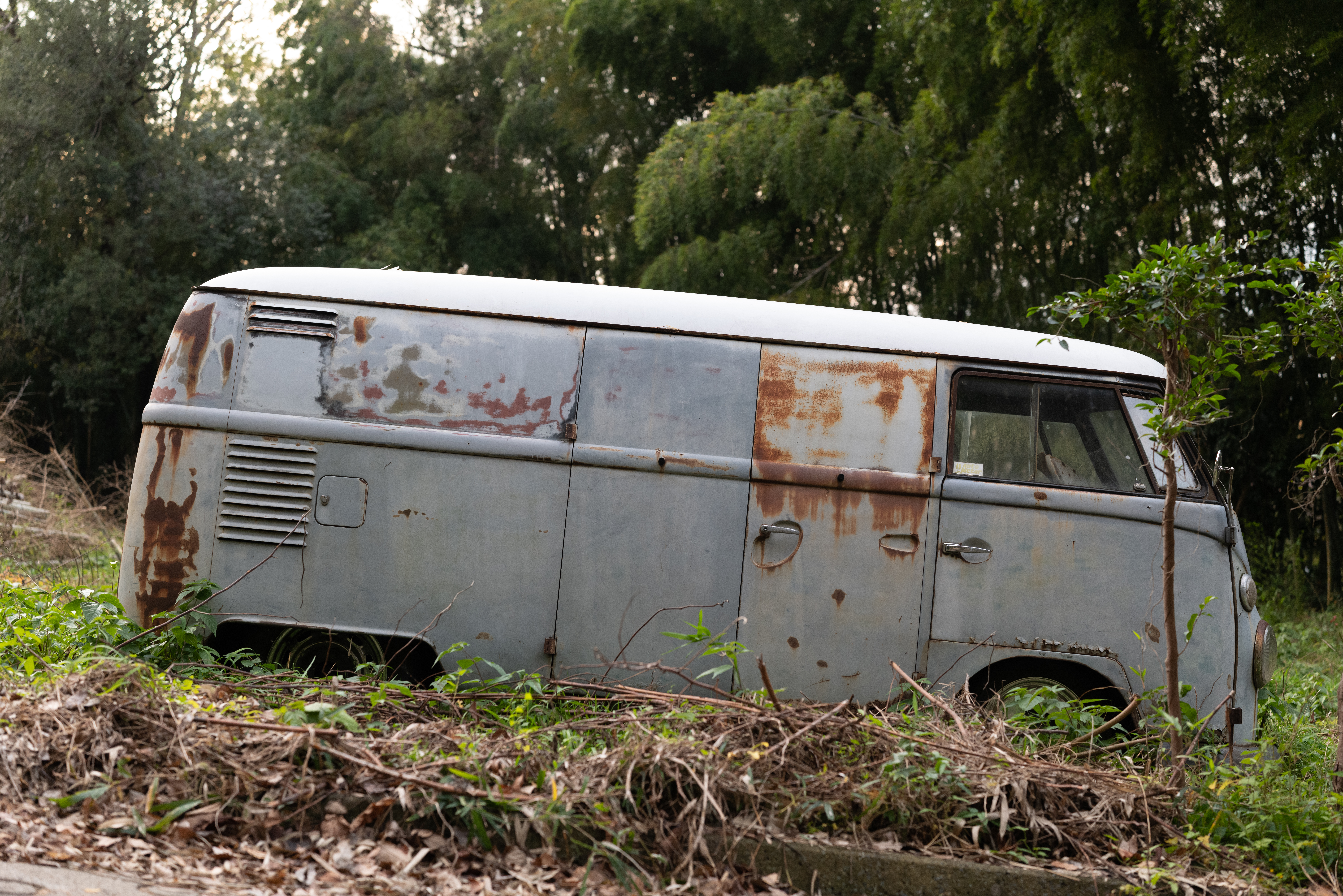 ライカSL2　アポ・ズミクロンSL F2.0/50mm ASPH.　F2.8　1/640秒　ISO800　WBオート