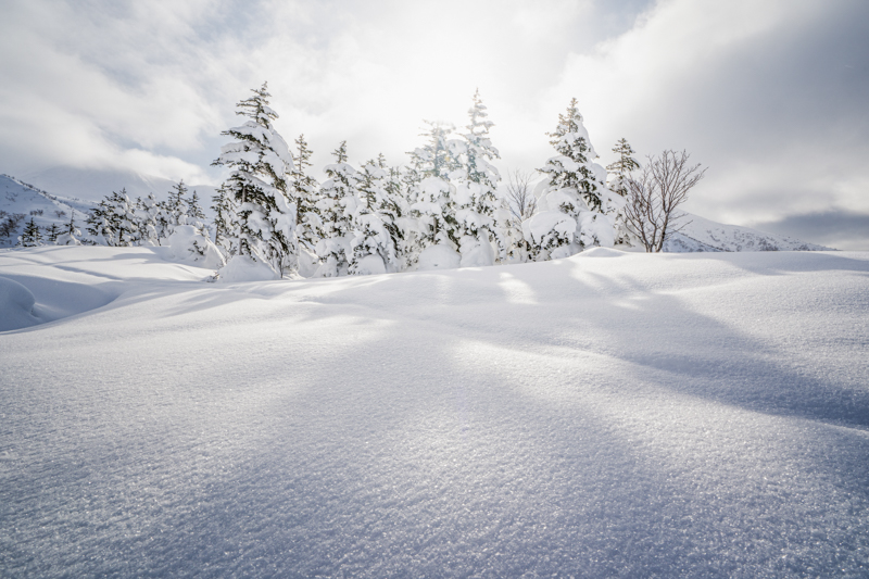 α7 III / FE 16-35mm F2.8 GM / 16mm / マニュアル露出（1/60秒・F16） / ISO 100