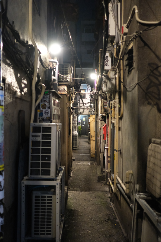 店と店の間をはしっている細い路地。敷地内に何ヶ所かある。<br><span class="fnt-85">X-T3 / XF23mmF2 R WR / 23mm（35mm相当） / 絞り優先AE（1/170秒・F2.0・±0.0EV） / ISO 6400</span>