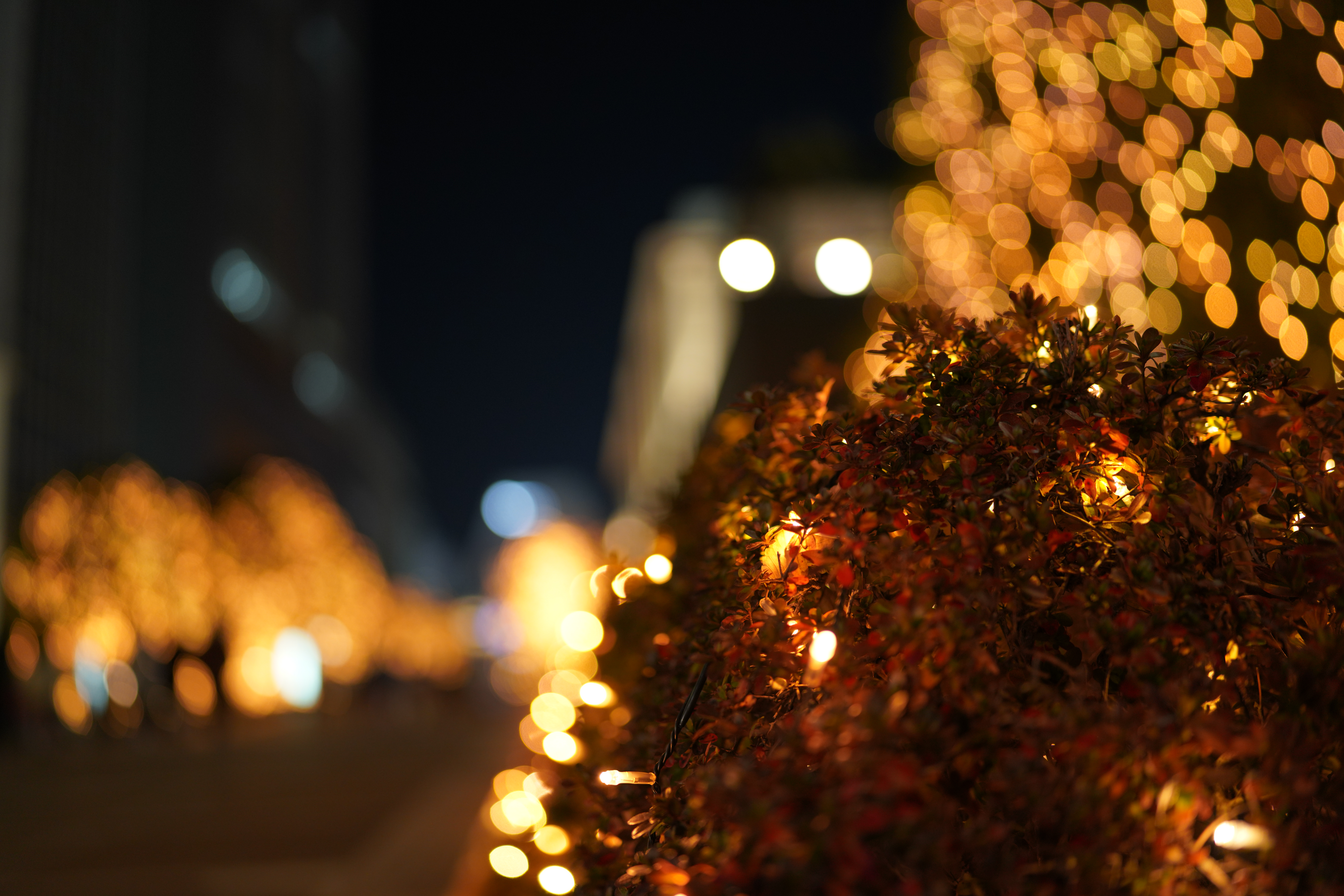 ソニーα7R IV / SIGMA 35mm F1.2 DG DN | Art / 絞り優先AE（F1.2・1/125秒・+0.3EV） / ISO 640