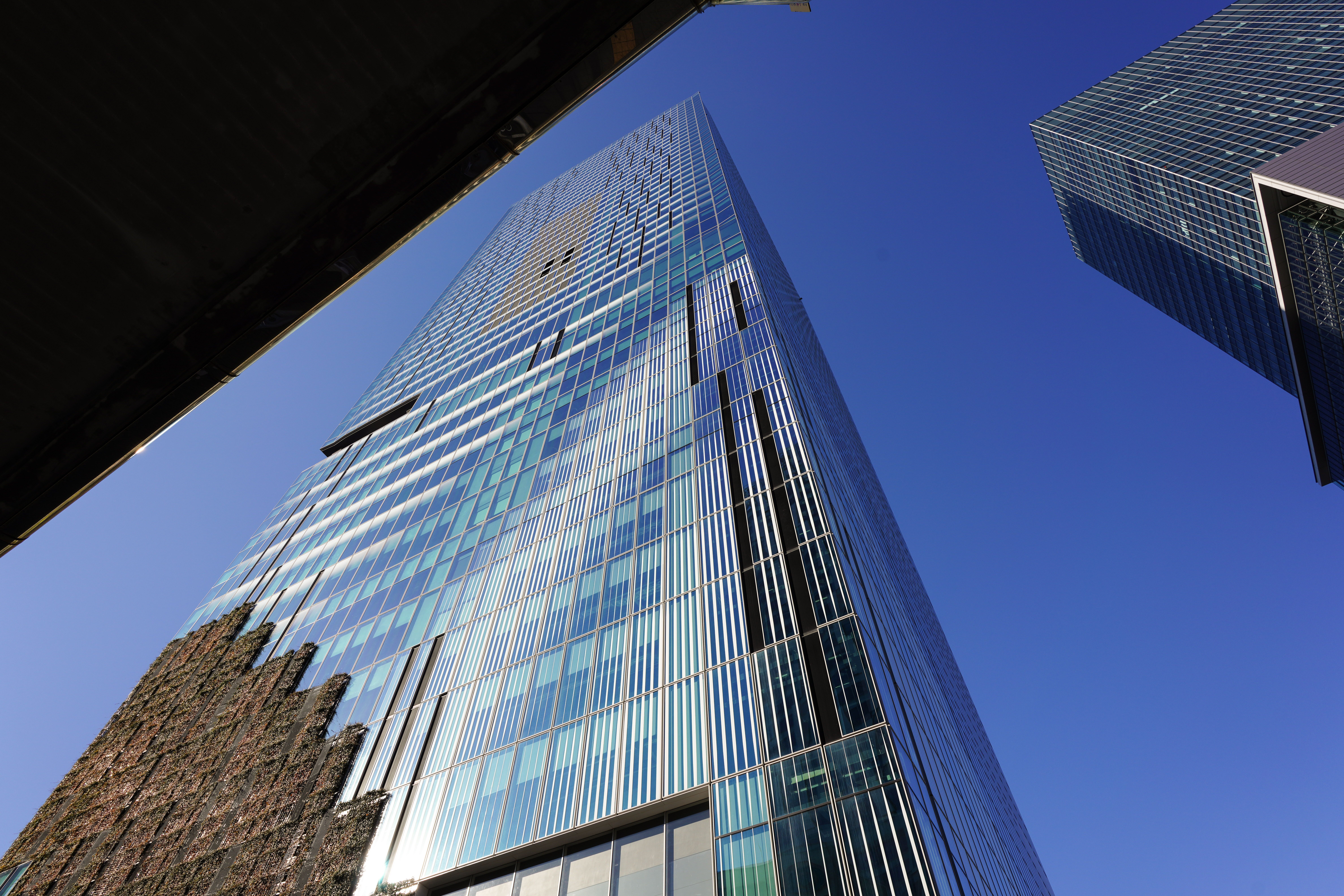 ソニーα7R IV・タムロン20mm F/2.8 Di III OSD M1:2・絞り優先AE（1/250秒・F9.5・±0EV）・ISO 100