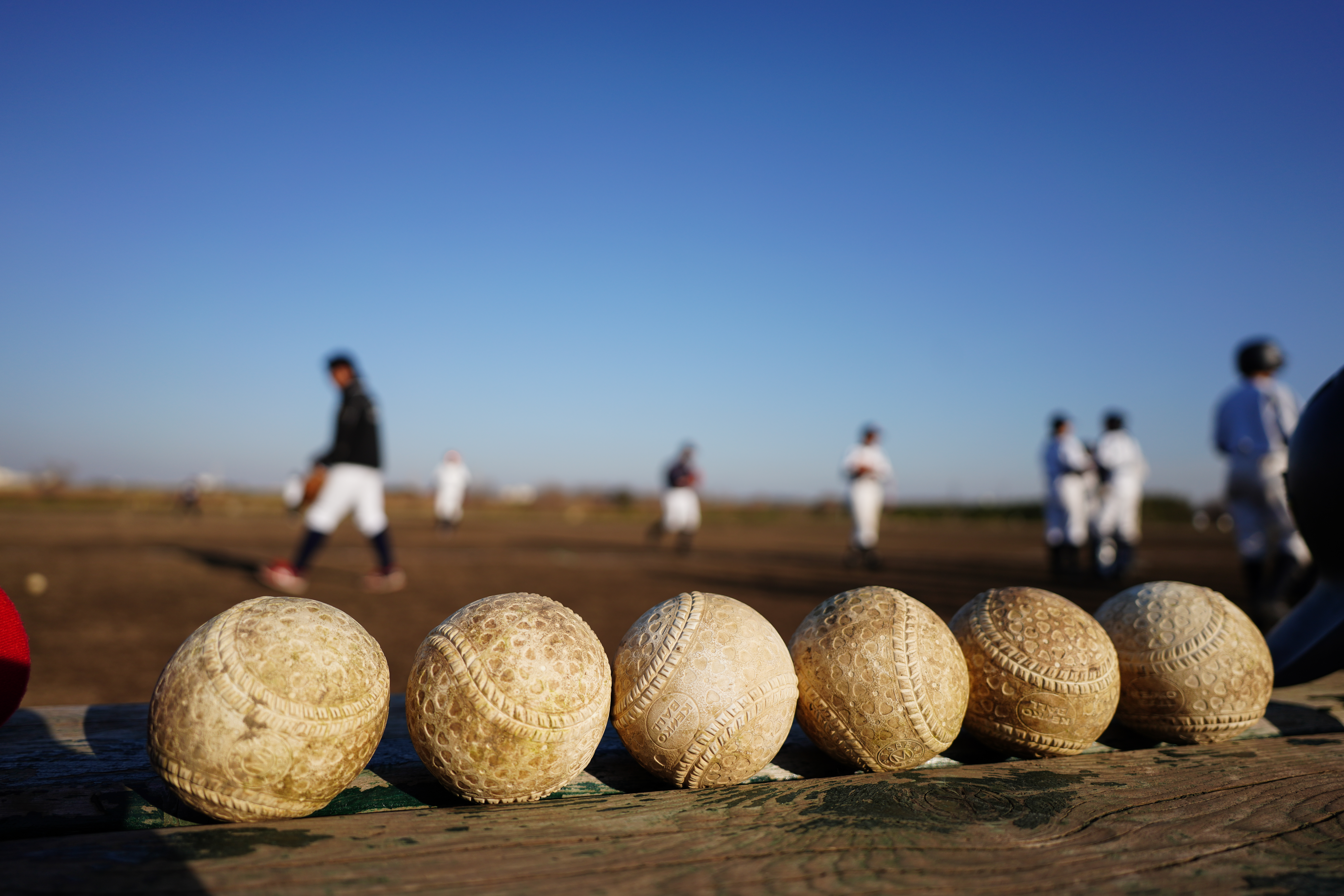 ソニーα7R IV・タムロン20mm F/2.8 Di III OSD M1:2・絞り優先AE（1/2,000秒・F2.8・+0.5EV）・ISO 100