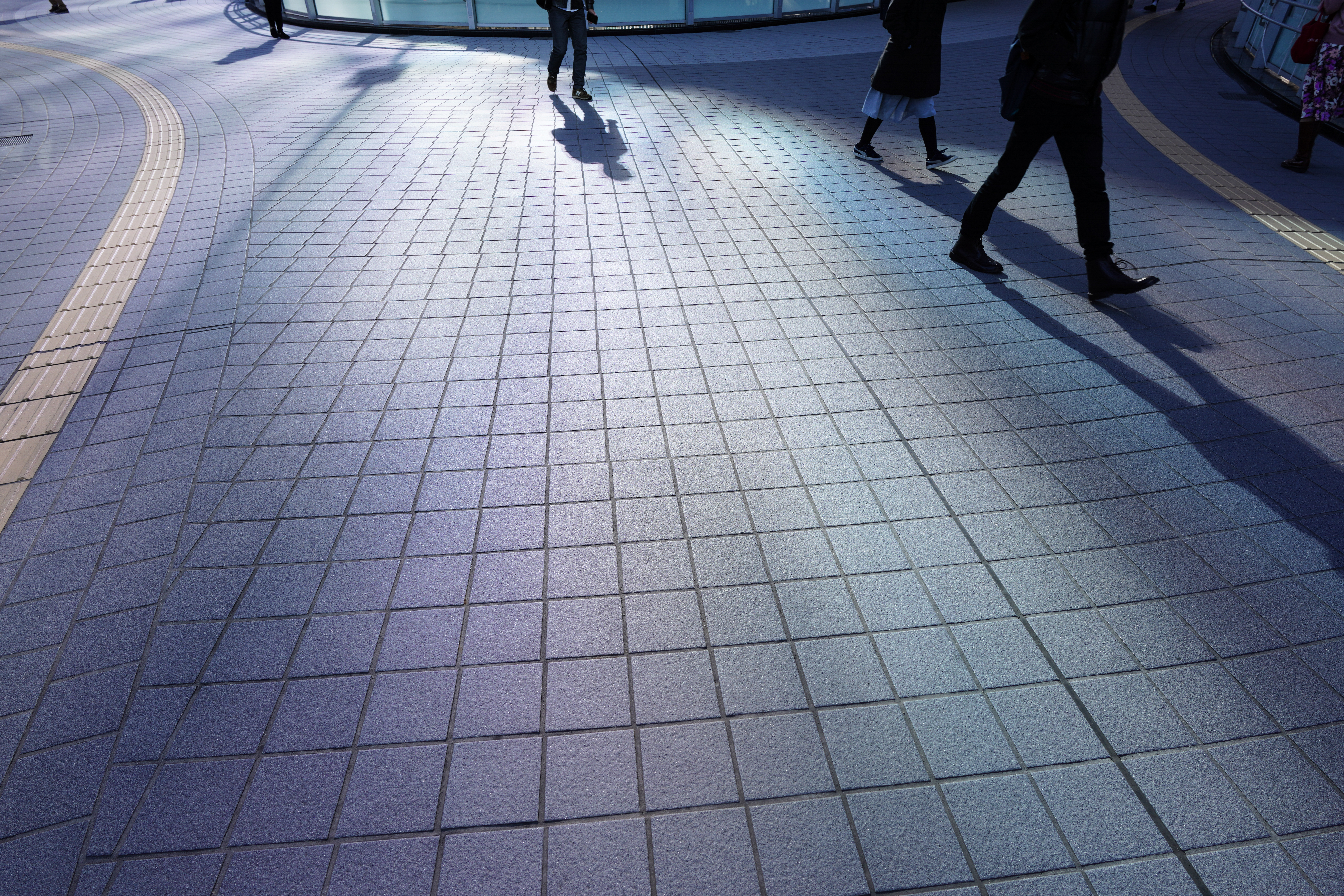 ソニーα7R IV・タムロン20mm F/2.8 Di III OSD M1:2・絞り優先AE（1/200秒・F6.7・+0.5EV）・ISO 100