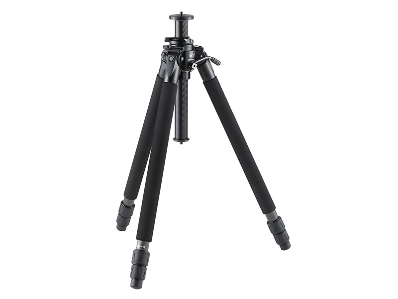 Professional Geo N730