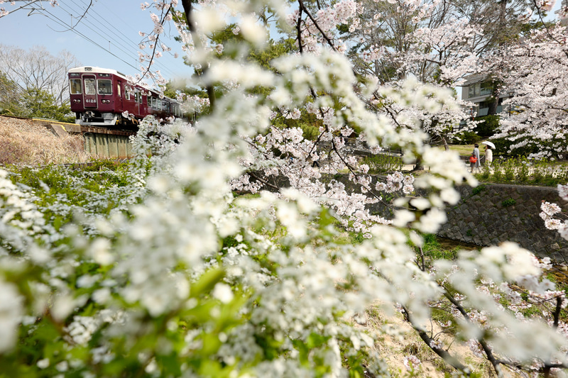 ライカSL（Typ601）　SUPER-VARIO-ELMAR-SL f3.5-4.5/16-35mm ASPH.（19mm）　絞り優先オート（F4.4、1/640秒）　ISO 400　WB:マニュアル
