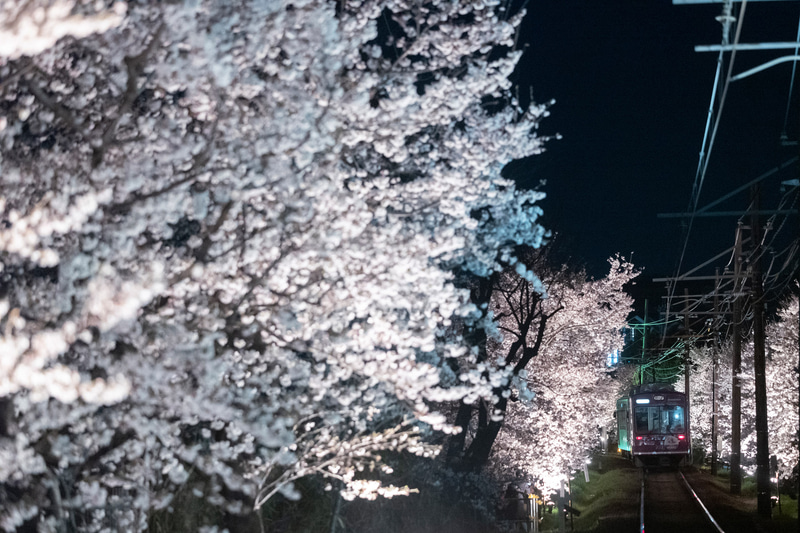 ライカSL（Typ601）　APO-VARIO-ELMARIT-SL f2.8-4/90-280mm（120mm）　絞り優先オート（F3.1、1/60秒）　ISO 4000　WB:オート