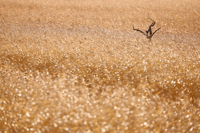 撮影：中西敏貴