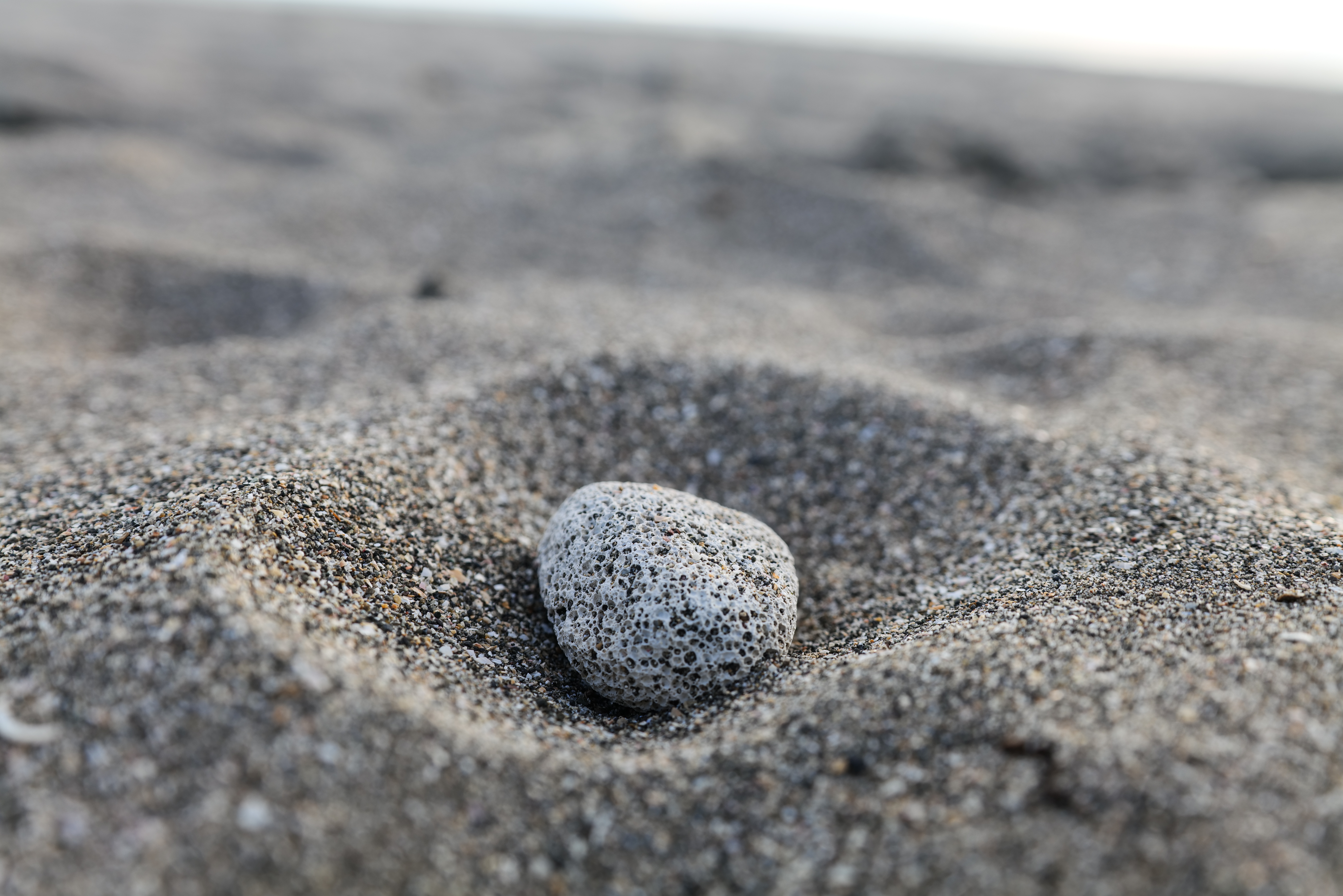 LUMIX S1R / LUMIX S PRO 16-35mm F4（35mm）/ 絞り優先AE（1/100秒・F5.6・±0EV）/ ISO 100