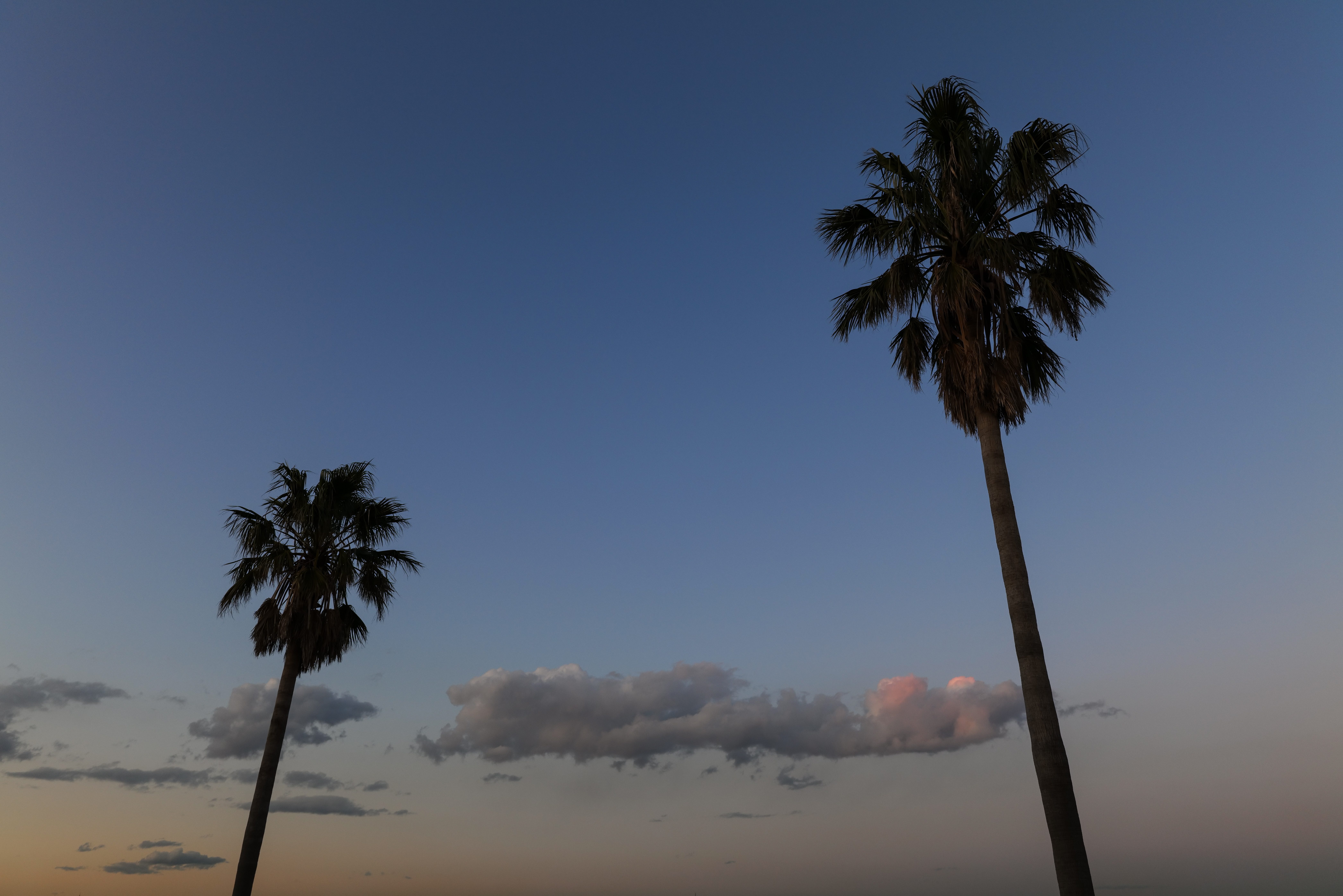 LUMIX S1R / LUMIX S PRO 16-35mm F4（24mm）/ 絞り優先AE（1/80秒・F6.3・−0.3EV）/ ISO 400