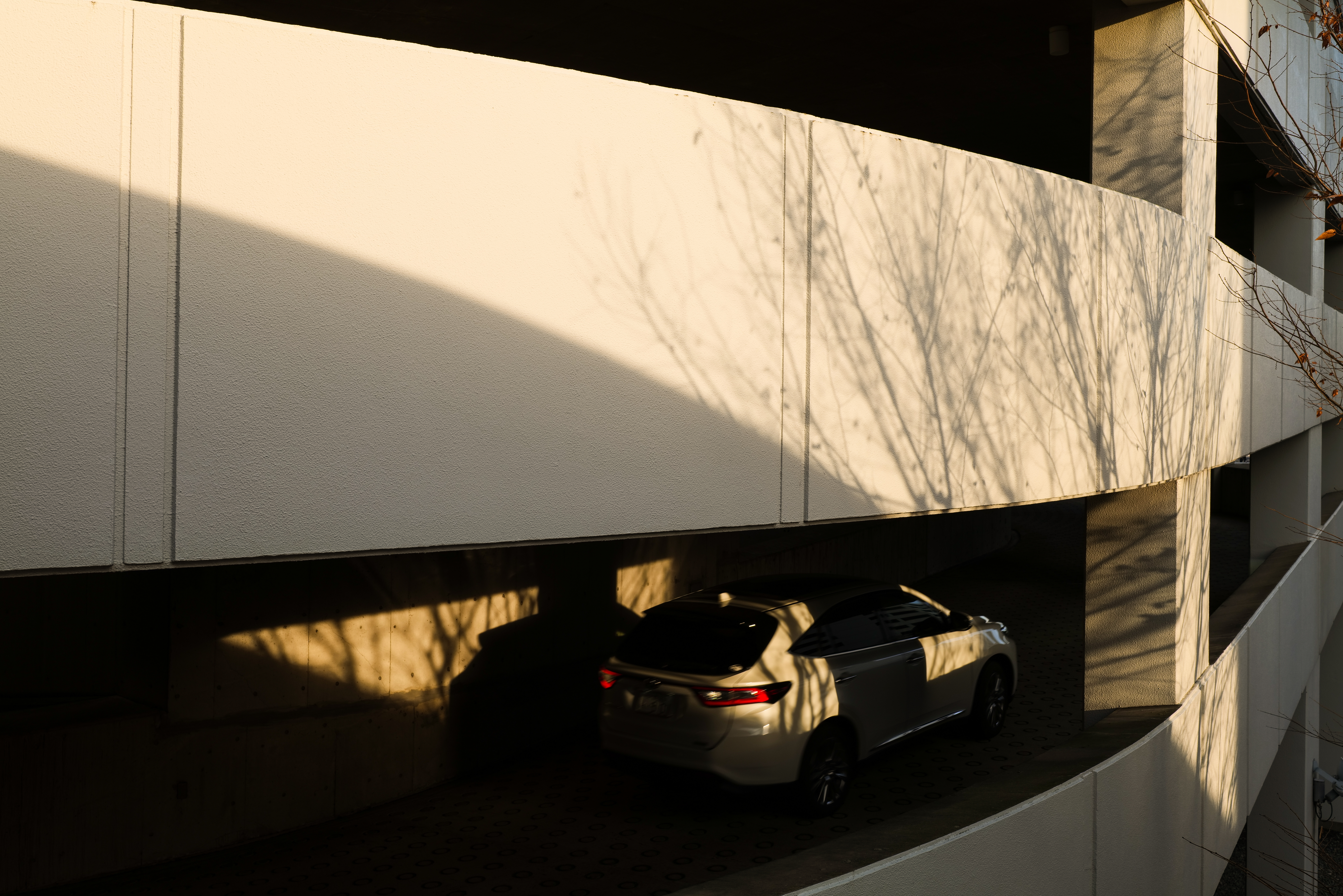 LUMIX S1R / LUMIX S PRO 16-35mm F4（35mm）/ 絞り優先AE（1/80秒・F9・±0EV）/ ISO 100