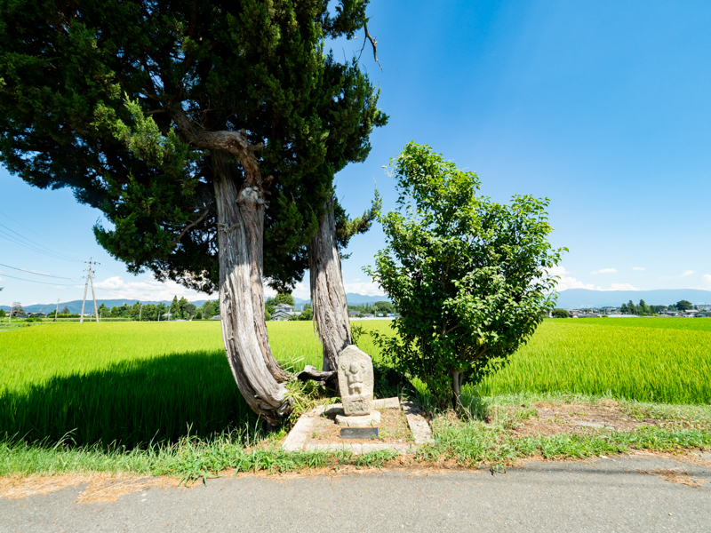 安曇野の道祖神と青い空と田んぼ。「いつからこの光景があったのかな」。広角端で撮っても画面手前から奥、そして周辺部までキレ良く写るので、撮ったときの思いがよみがえってくる（撮影：佐藤大史）。<br><span class="fnt-85">OLYMPUS OM-D E-M1 Mark II / M.ZUIKO DIGITAL ED 7-14mm F2.8 PRO / 7mm（14mm相当） / 絞り優先AE（F7.1、1/320秒、-0.7EV） / ISO 200 / WB：オート</span>
