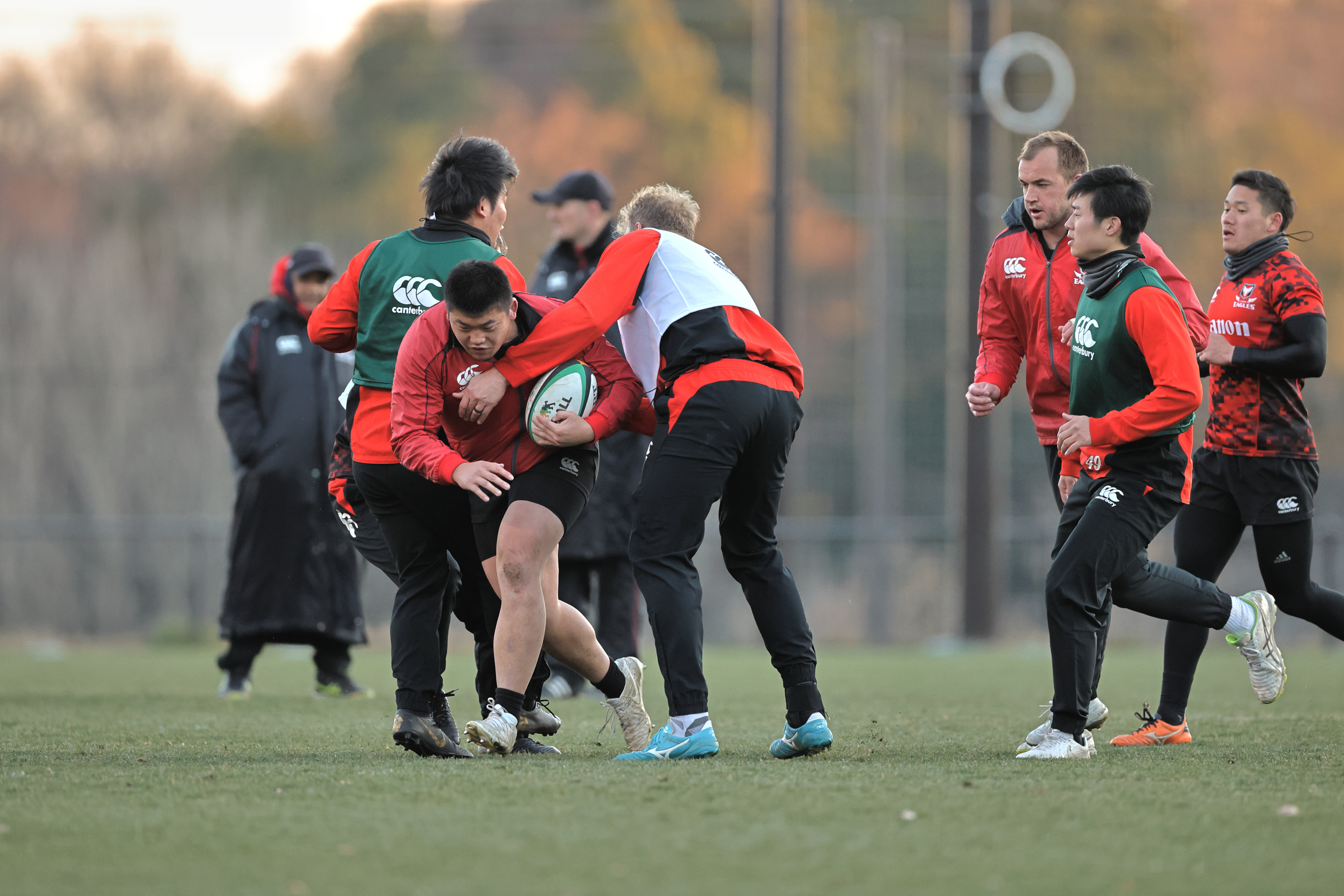 キヤノンEOS-1D X Mark III / EF600mm F4L IS III USM / シャッター優先AE（1/1,000秒・F4.5・±0EV） / ISO 6400