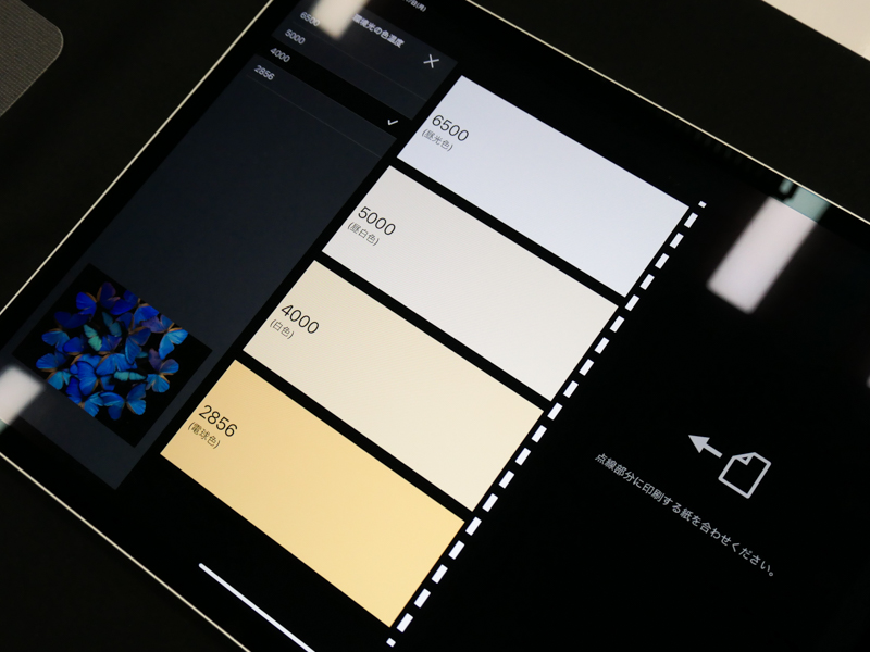 プリントを鑑賞する場所の色温度に合わせたイメージ確認機能。iPad ProのTrueToneディスプレイ機能をオンのまま使うことを推奨している。