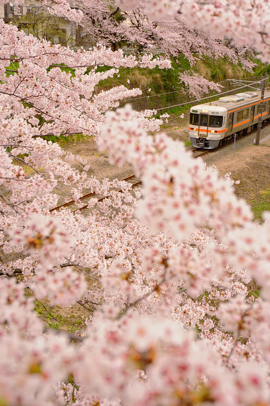 ソニーα7 II　Vario-Tessar T* FE 16-35mm F4 ZA OSS（45mm相当）　絞り優先オート　（F4、1/800秒）　ISO 400　WB:日陰（M+1）　風景（彩度+2、コントラスト+1）