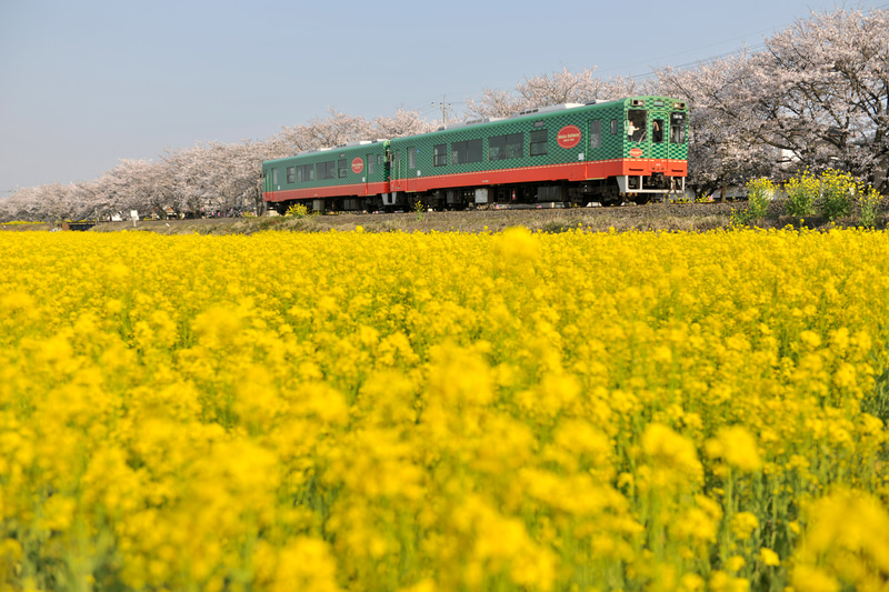 ニコンD3X　AF-S NIKKOR 24-70mm f/2.8G ED（42mm）　絞り優先オート（F4、1/750秒）　ISO 100　WB:晴天