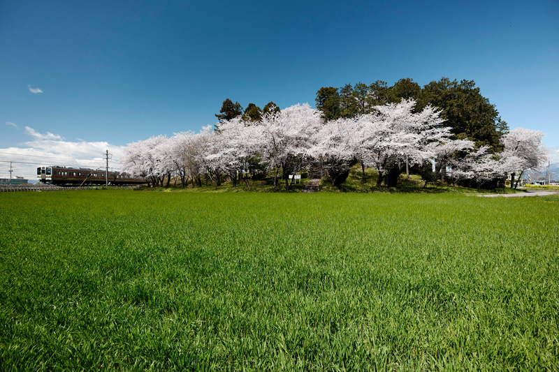 ライカSL（Typ 601）　SUPER-VARIO-ELMAR-SL f3.5-4.5/16-35mm ASPH.　マニュアル露出（F5、1/1,000秒）　ISO 400　WB:太陽光
