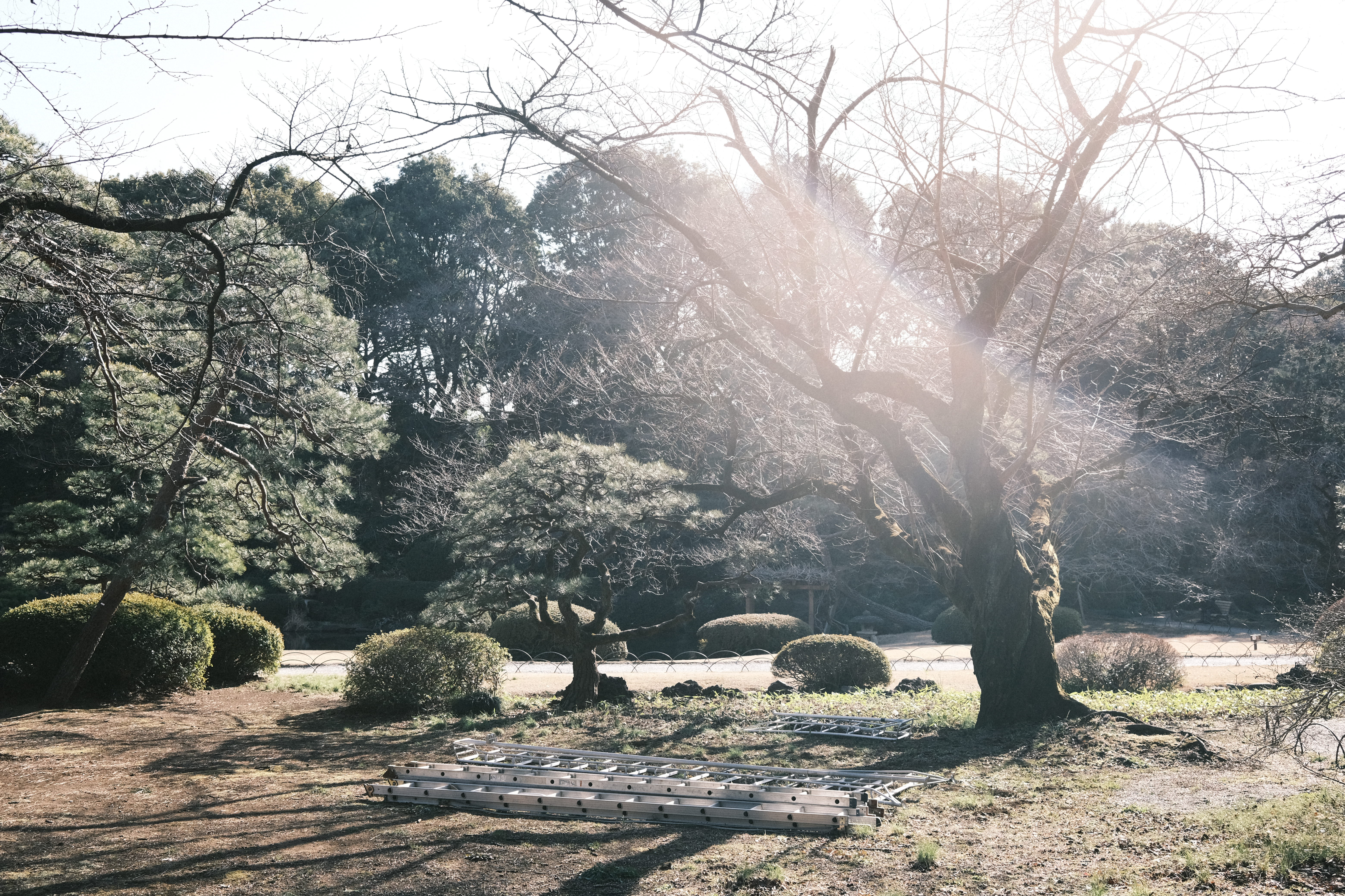 FUJIFILM X100V / プログラムAE（F3.6・1/400秒・+0.7EV） / ISO 160