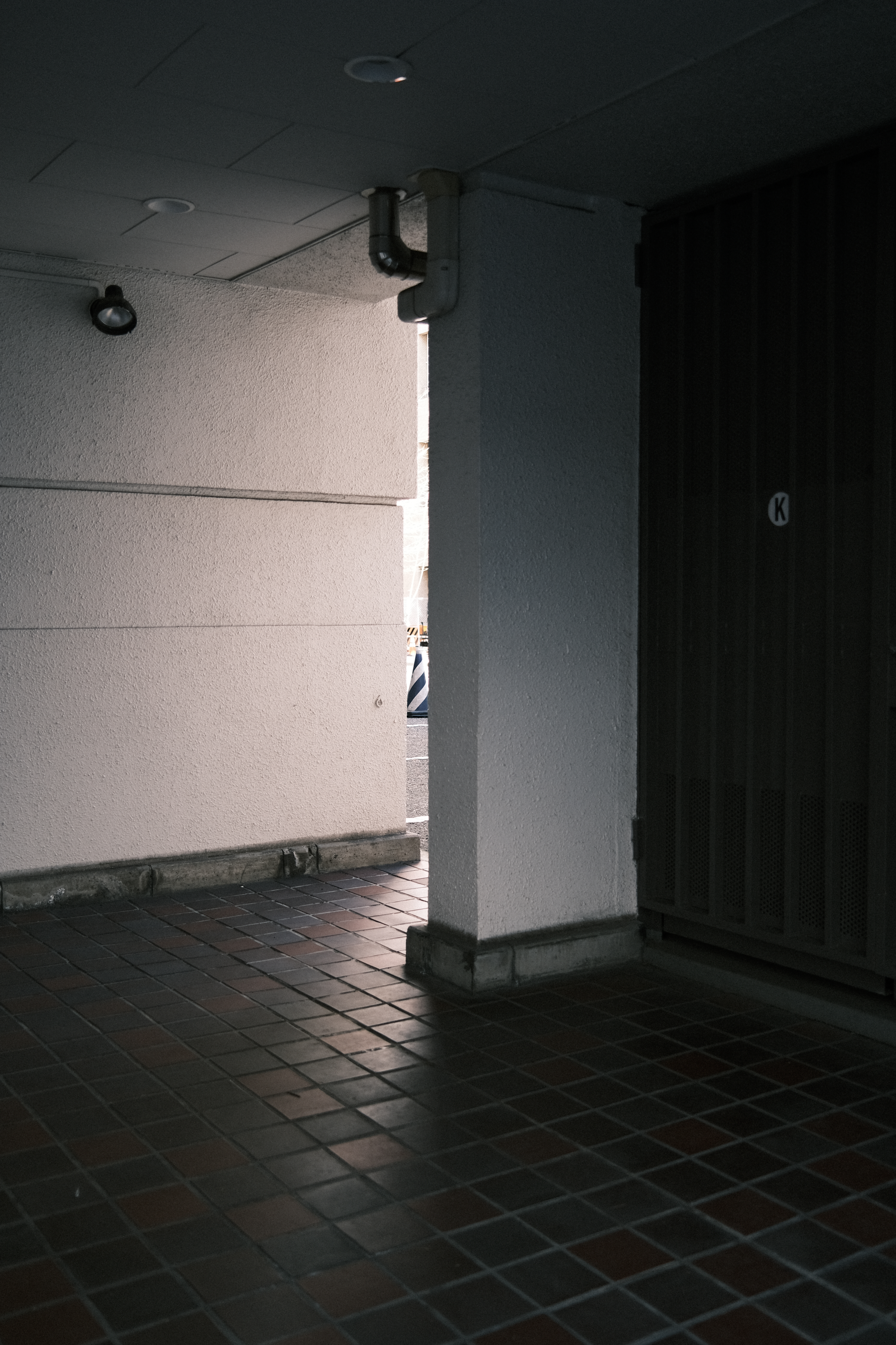 FUJIFILM X100V / 絞り優先AE（F2.0・1/220秒・-0.7EV） / ISO 160