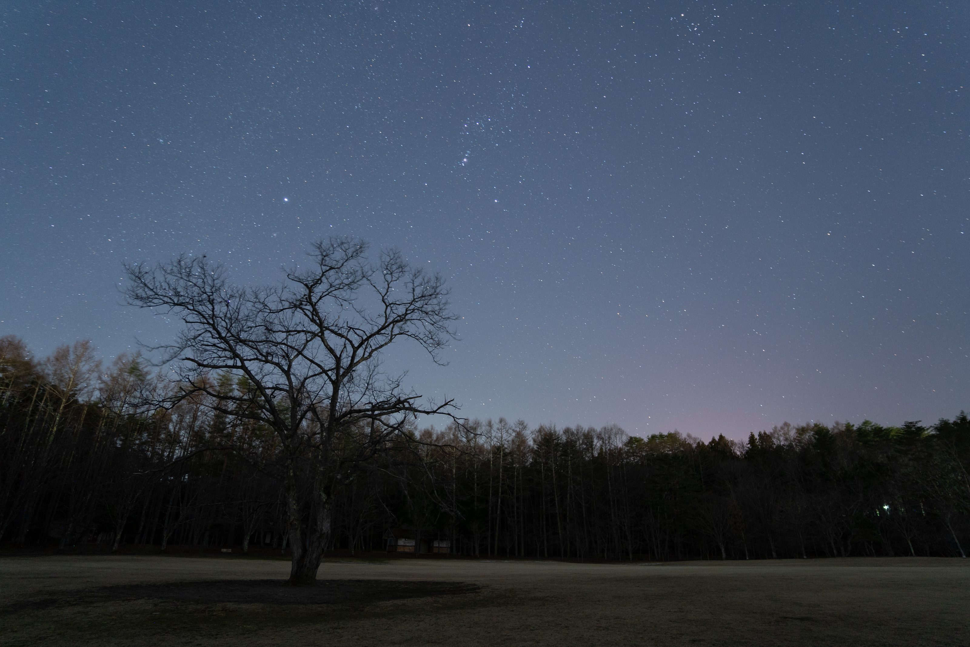 光害カットフィルターあり