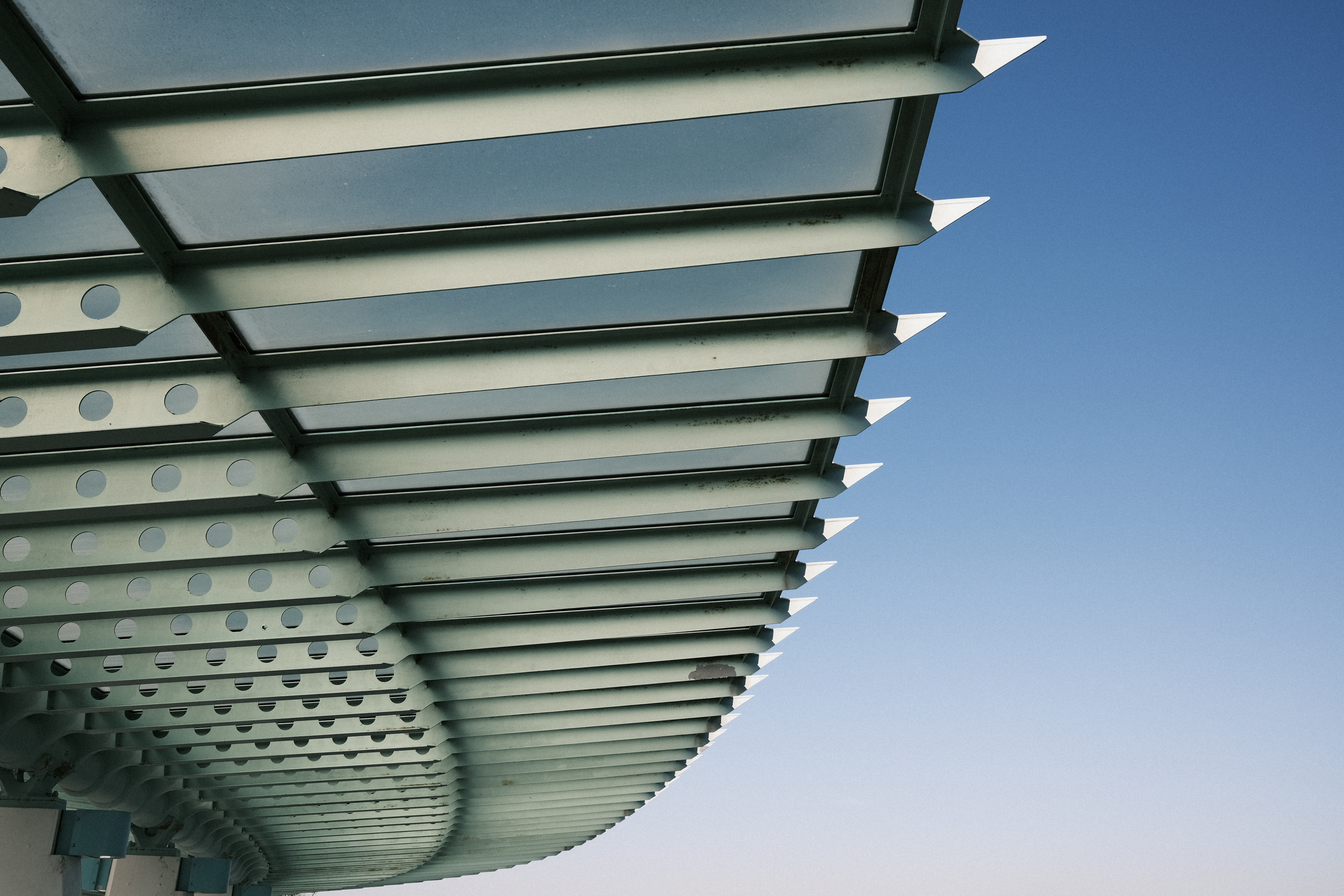 FUJIFILM X100V / プログラムAE（F5.6・1/640秒・+0.3EV） / ISO 160