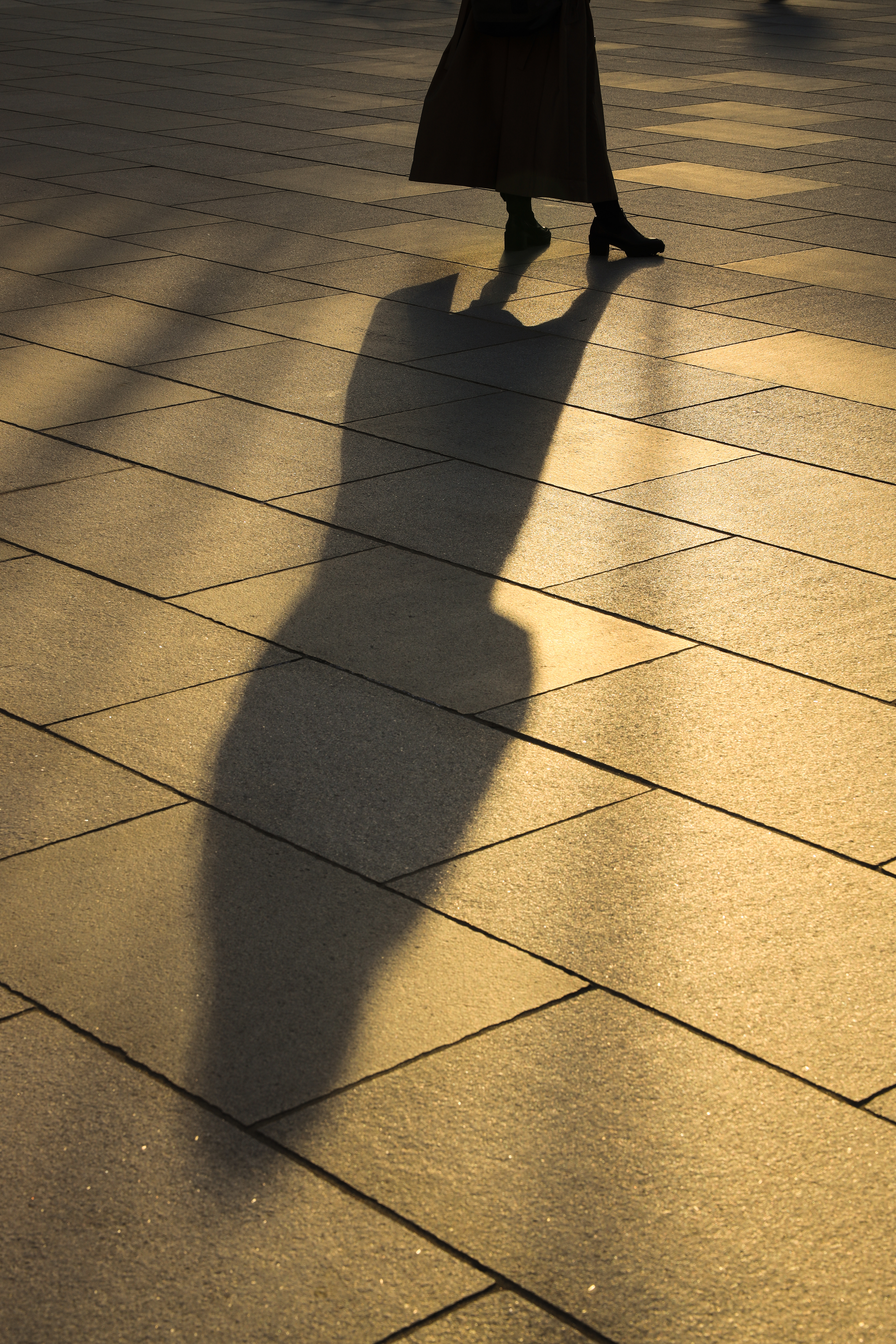 EOS R / RF24-70mm F2.8 L IS USM（70mm）/ 絞り優先AE（F11・1/125秒・-0.5EV）/ ISO 100