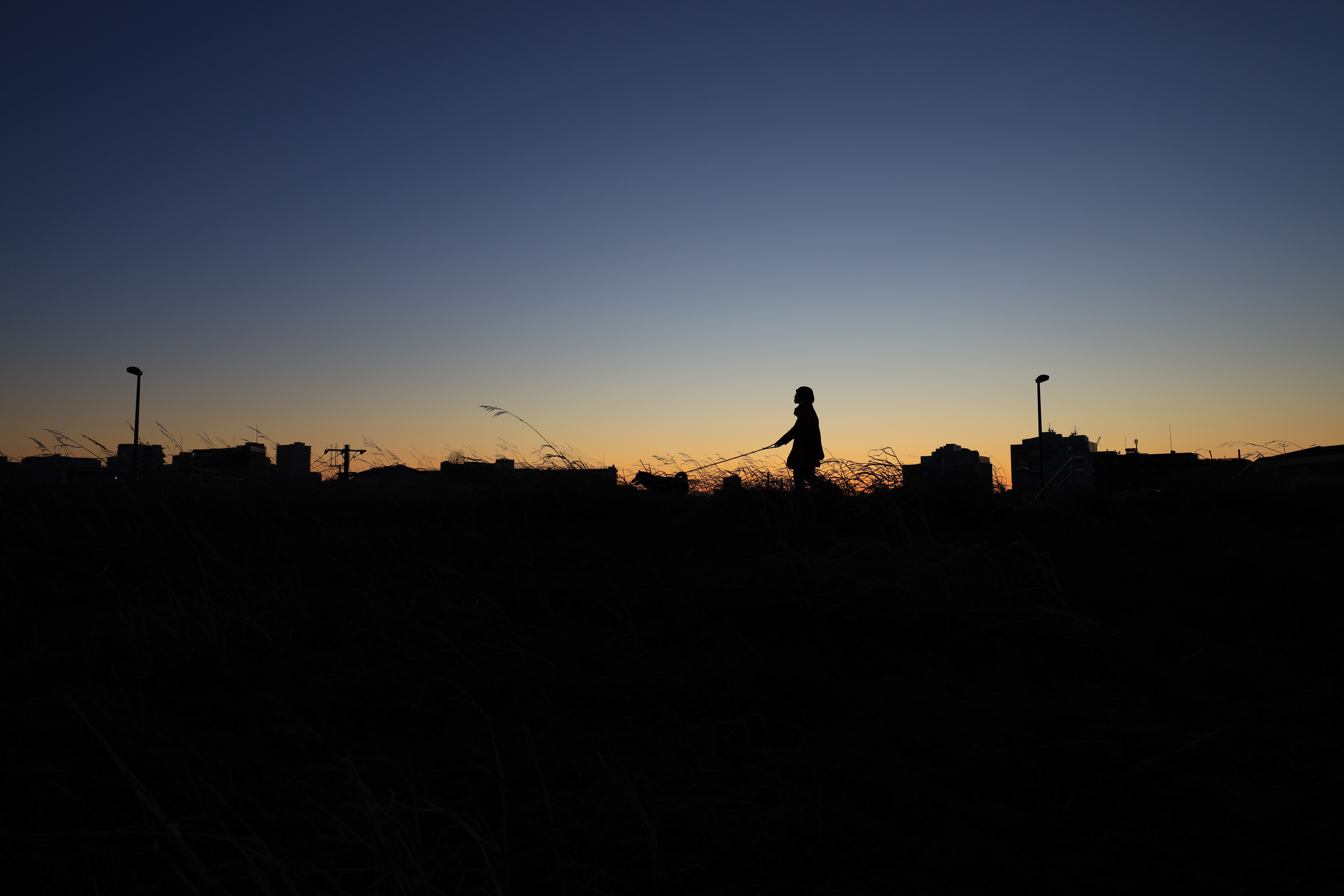 EOS R / RF24-70mm F2.8 L IS USM（24mm） / 絞り優先AE（F4・1/250秒・-0.5EV） / ISO 100