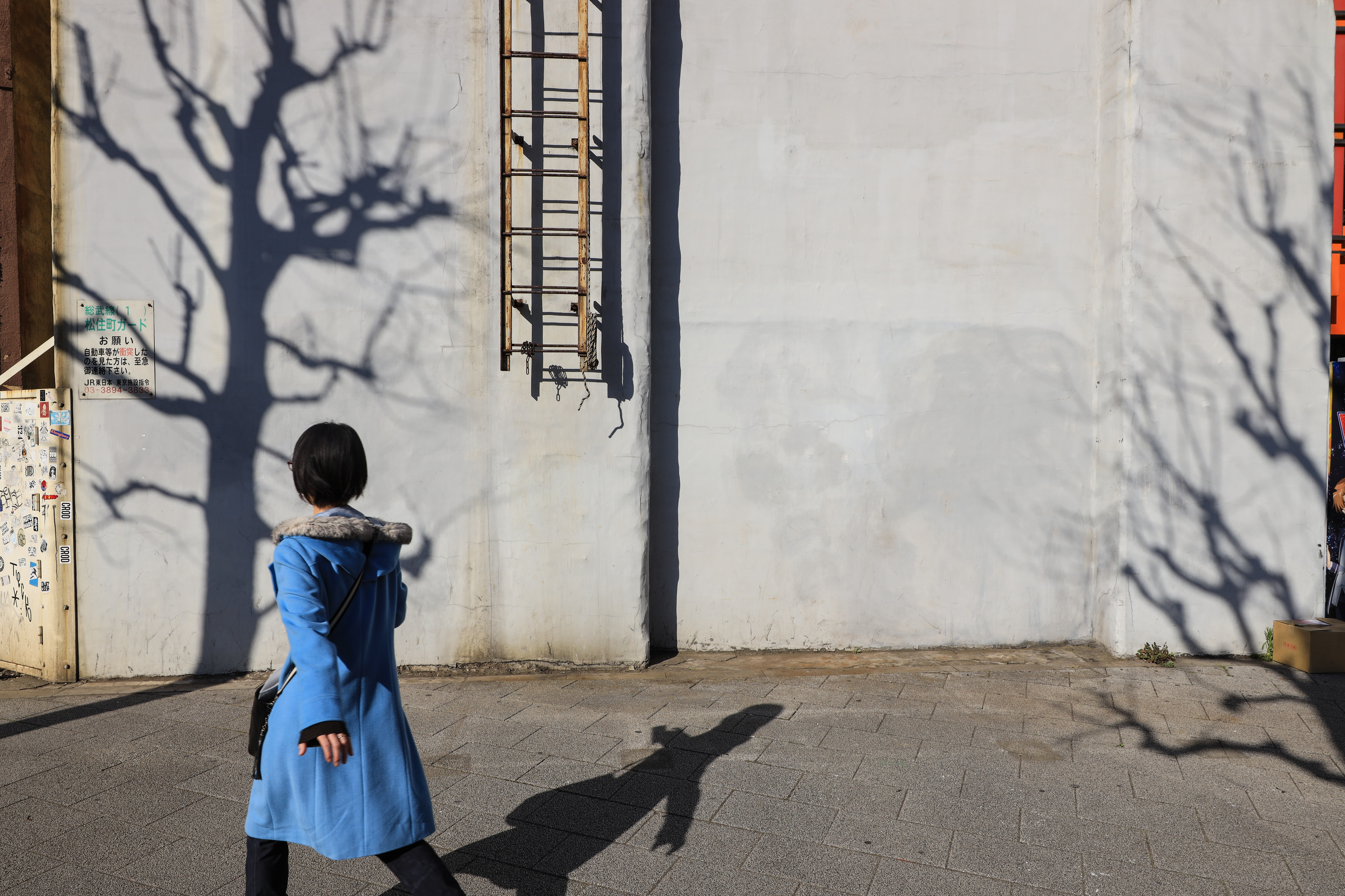 EOS R / RF24-70mm F2.8 L IS USM（24mm） / 絞り優先AE（F9.5・1/250秒・±0EV） / ISO 100