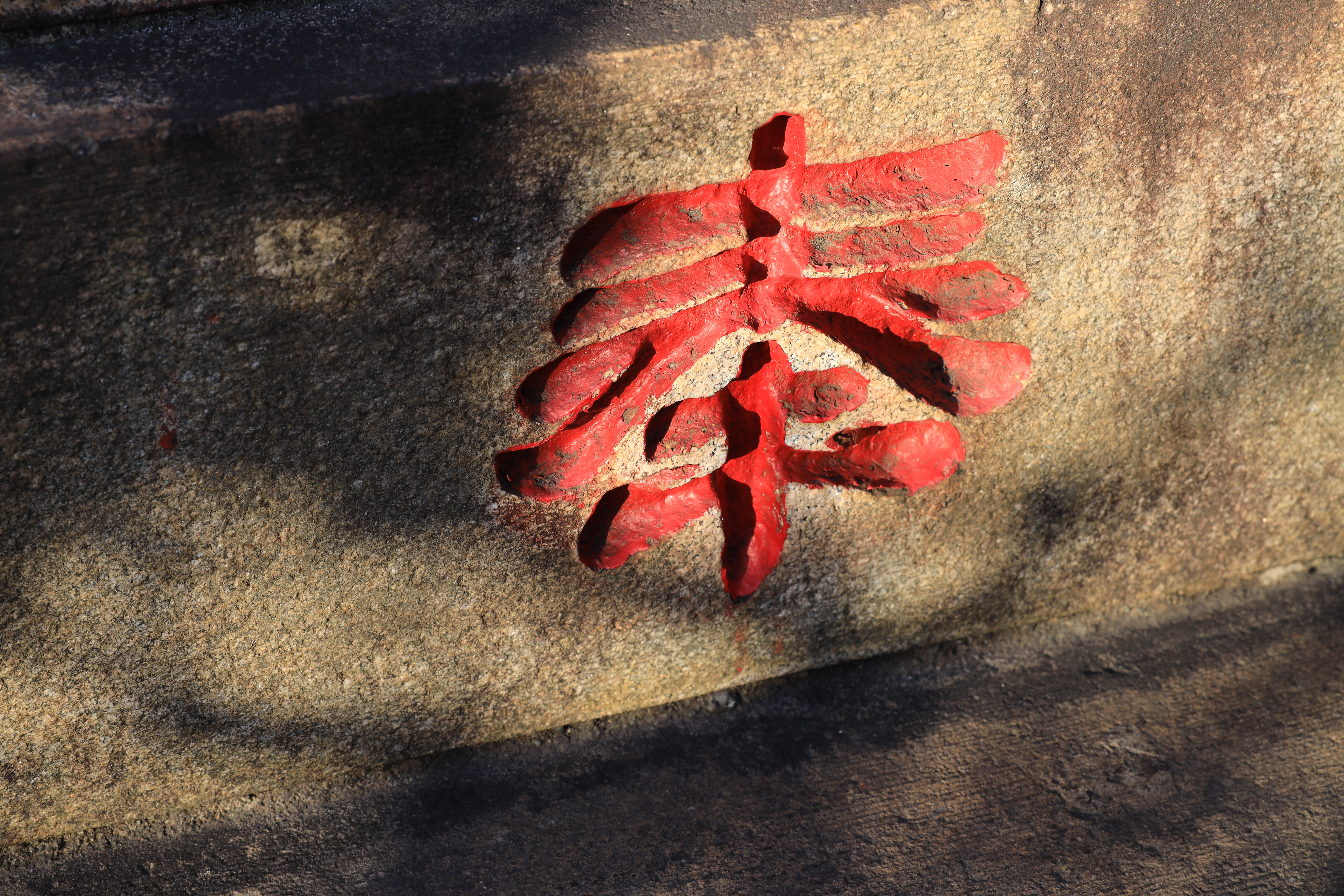 EOS R / RF24-70mm F2.8 L IS USM（70mm） / 絞り優先AE（F9.5・1/90秒・±0EV） / ISO 200