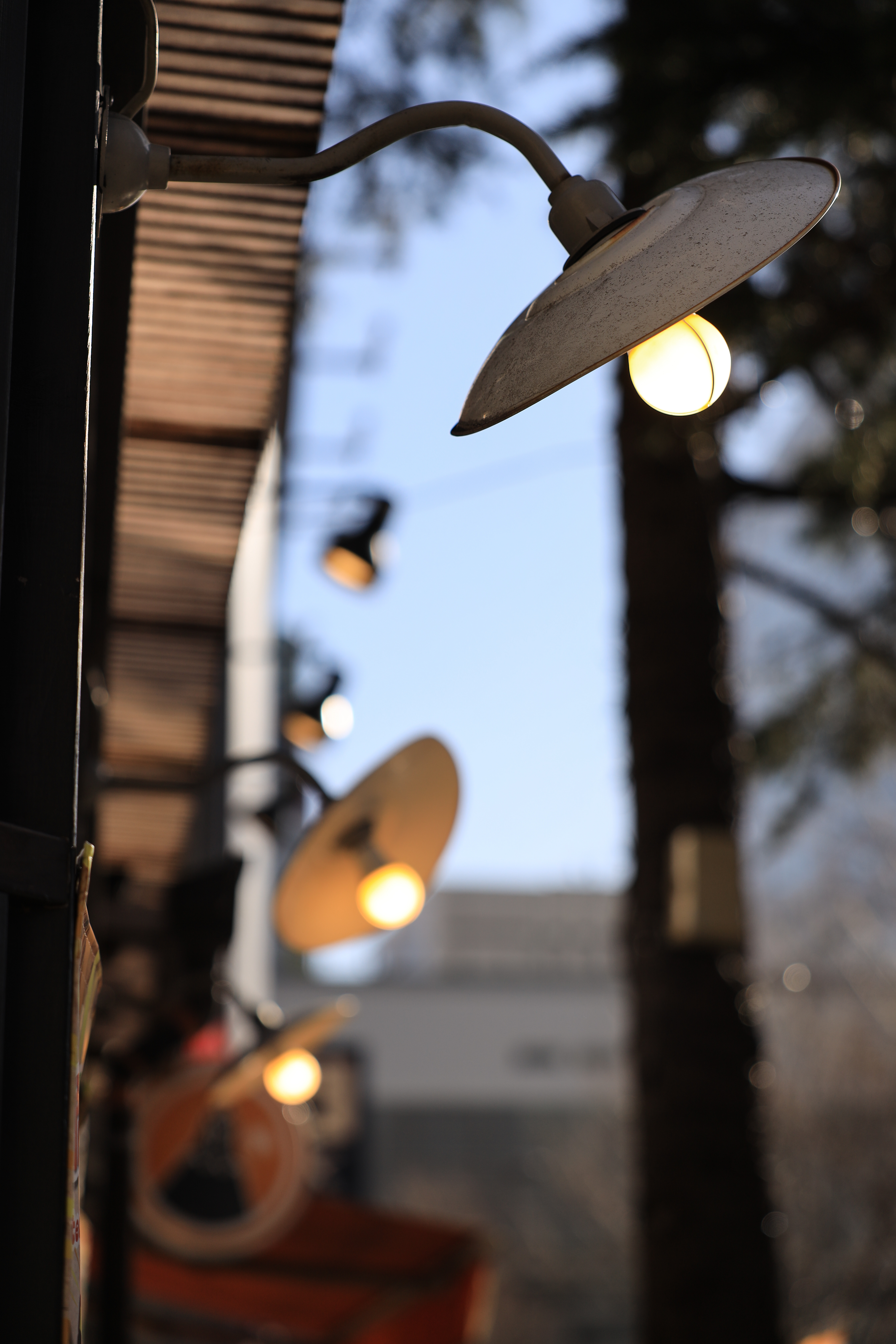 EOS R / RF24-70mm F2.8 L IS USM（70mm） / 絞り優先AE（F2.8・1/2,000秒・+0.5EV） / ISO 100