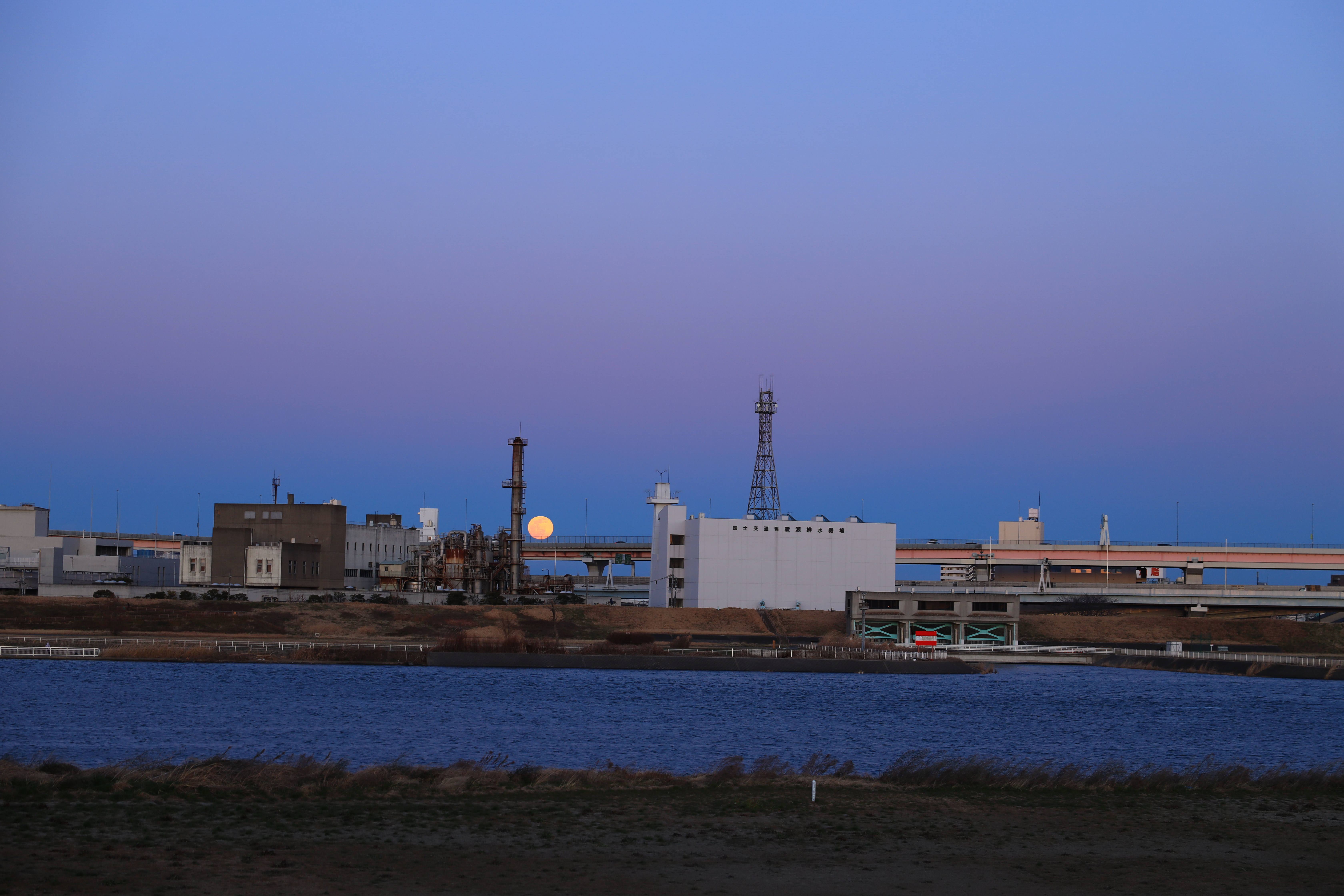 EOS R / RF24-70mm F2.8 L IS USM（70mm） / 絞り優先AE（F4・1/90秒・-0.5EV） / ISO 250