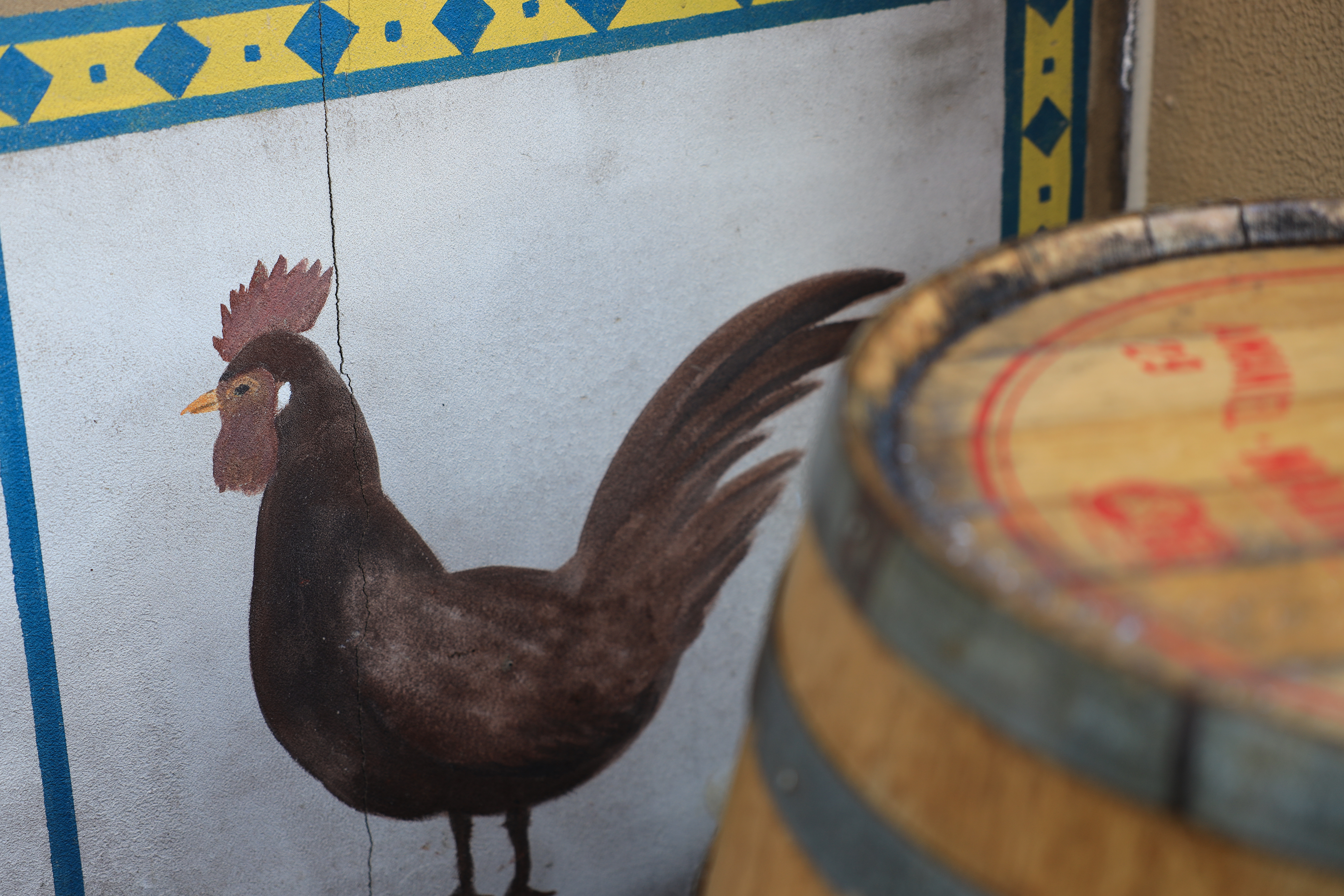 EOS R / RF24-70mm F2.8 L IS USM（70mm） / 絞り優先AE（F2.8・1/180秒・±0EV） / ISO 100