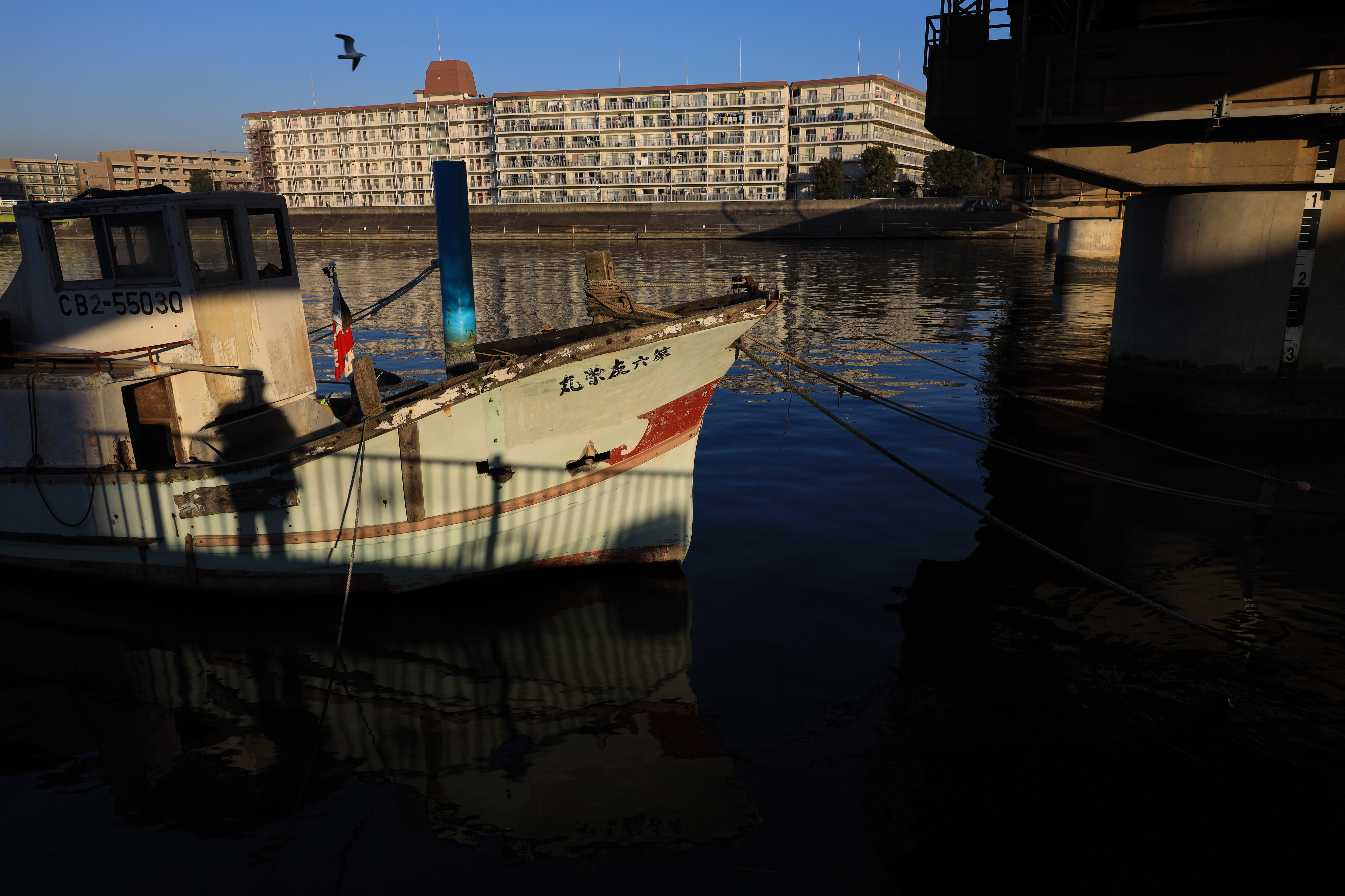 EOS R / RF24-70mm F2.8 L IS USM（24mm） / 絞り優先AE（F9.5・1/250秒・-0.5EV） / ISO 100