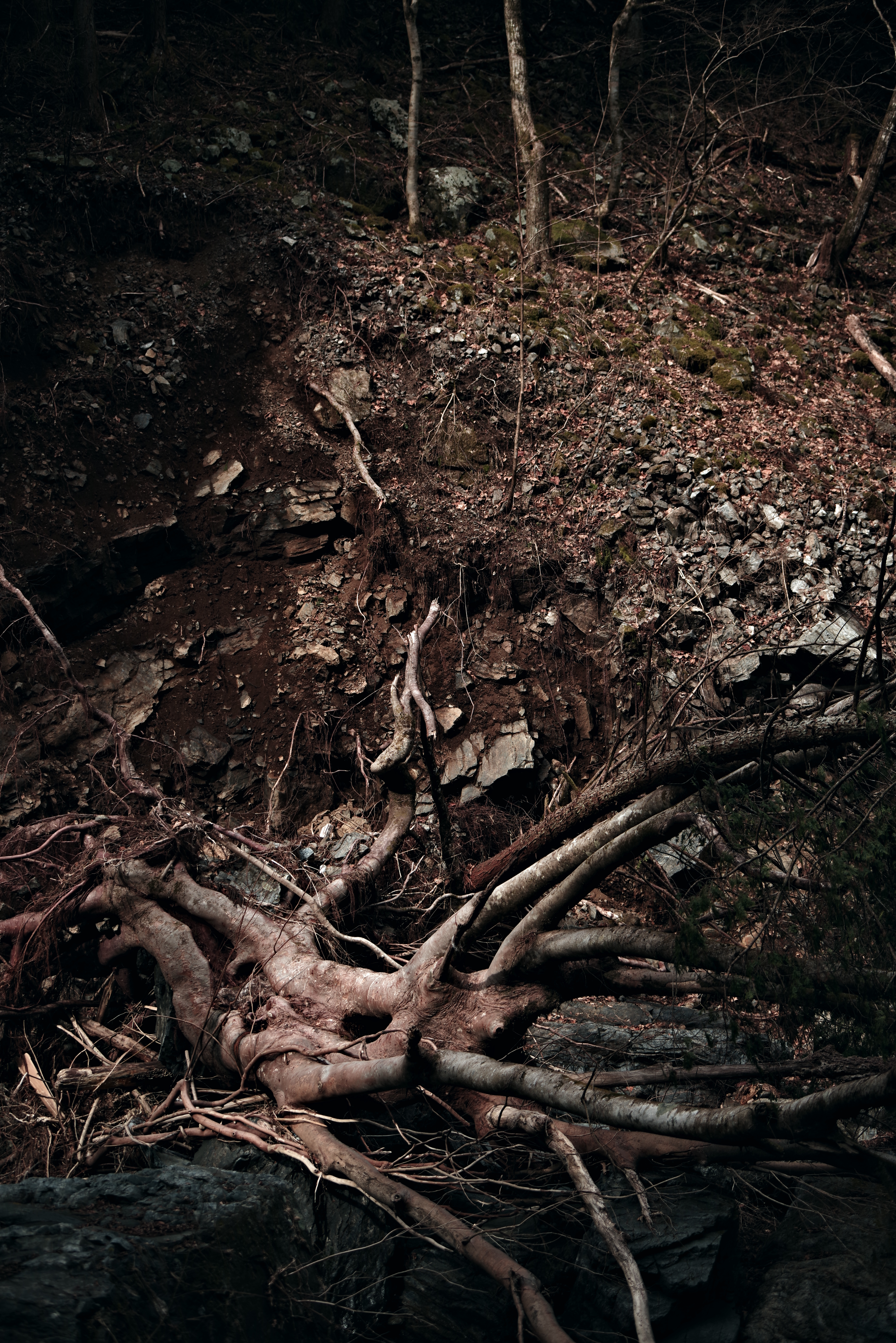 PENTAX K-1 Mark II / HD PENTAX-D FA 70-210mmF4ED SDM WR（70mm） / 絞り優先AE（F4.0・1/250秒・±0EV） / ISO 200