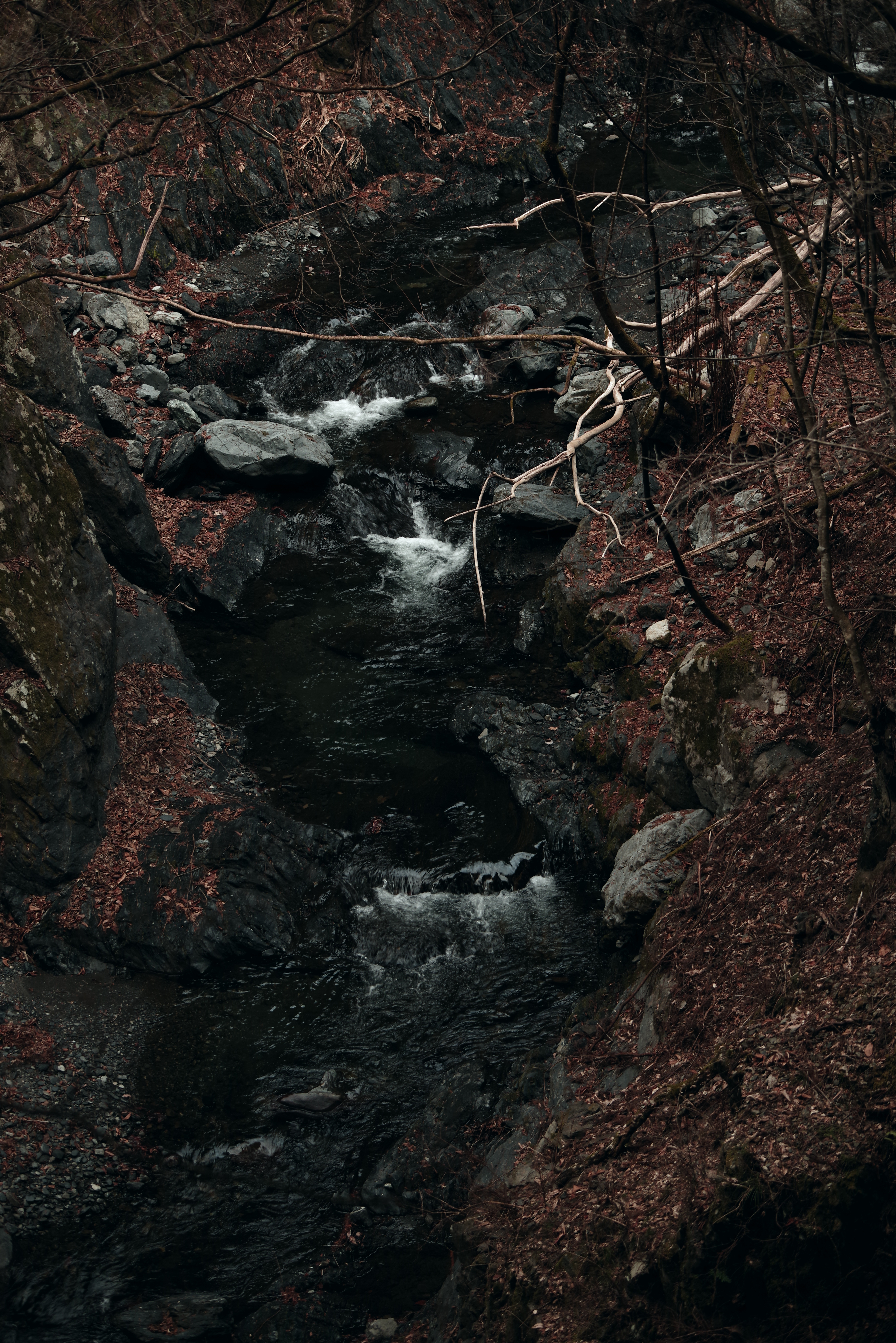 PENTAX K-1 Mark II / HD PENTAX-D FA 70-210mmF4ED SDM WR（78mm） / 絞り優先AE（F4.0・1/40秒・-1.0EV） / ISO 400