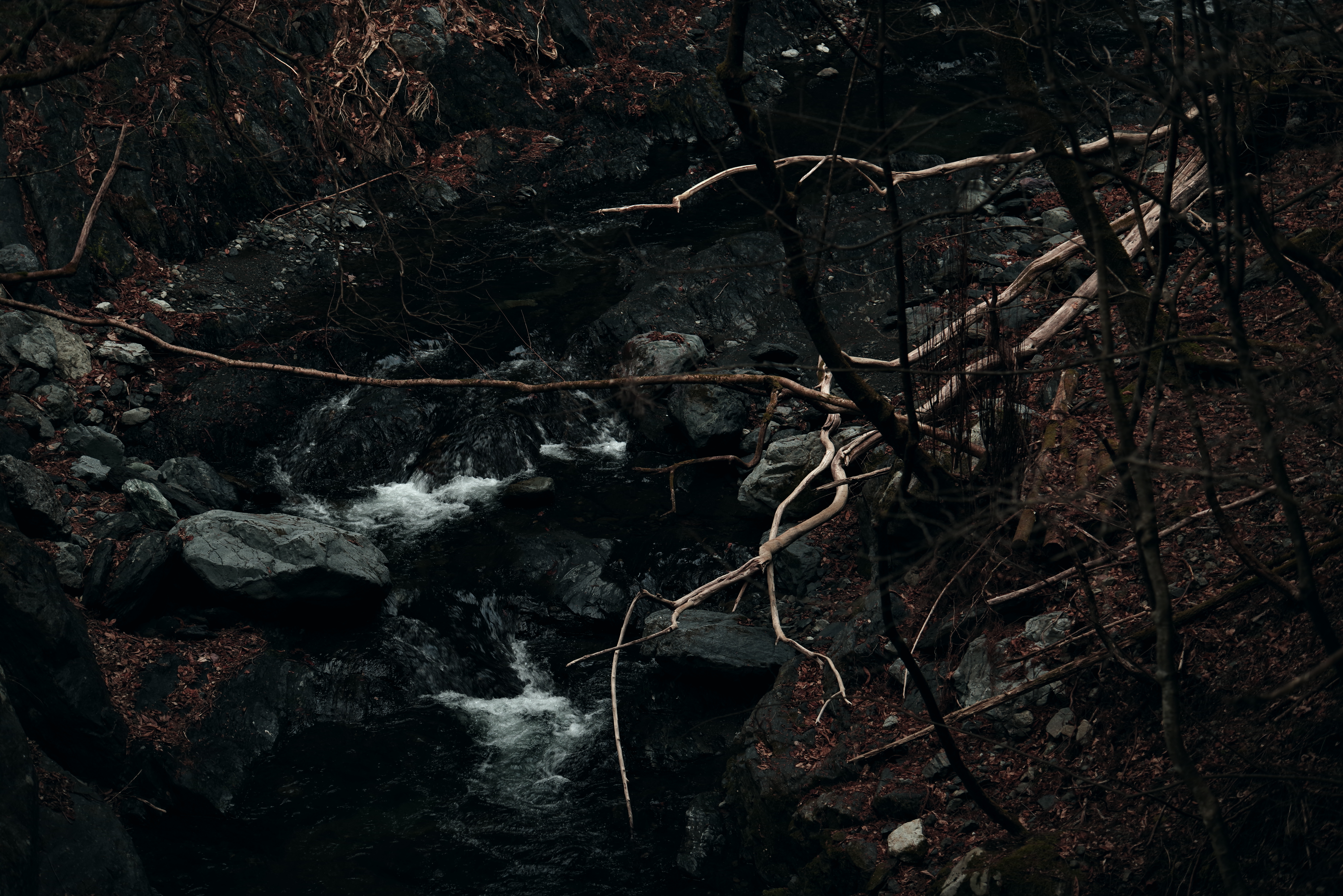 PENTAX K-1 Mark II / HD PENTAX-D FA 70-210mmF4ED SDM WR（123mm） / 絞り優先AE（F4.0・1/60秒・-1.0EV） / ISO 400