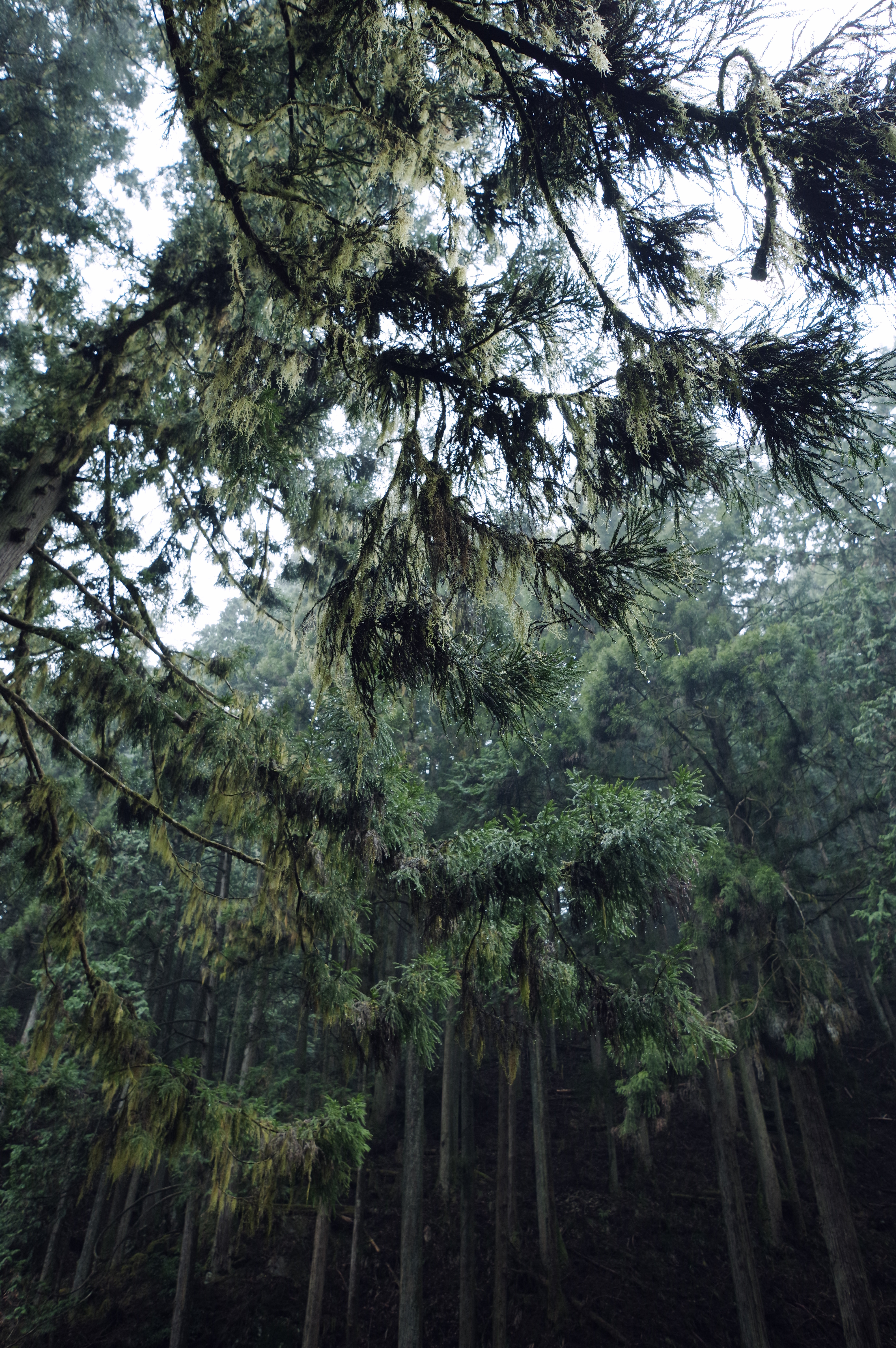 PENTAX KP J limited / HD PENTAX-DA★11-18mmF2.8ED DC AW（16mm） / 絞り優先AE（F4.0・1/100秒・-0.3EV） / ISO 400