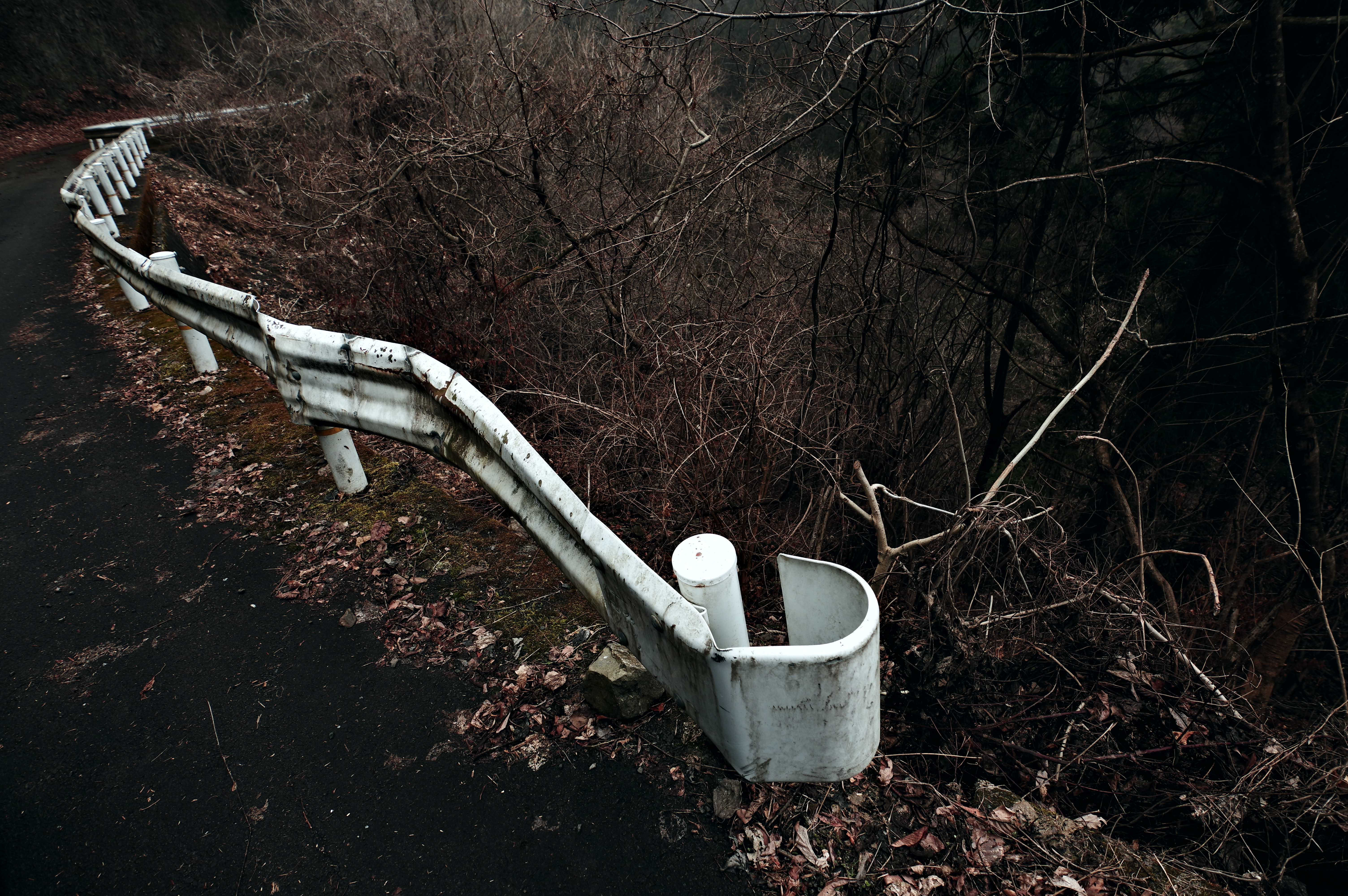 PENTAX KP J limited / HD PENTAX-DA★11-18mmF2.8ED DC AW（11mm） / 絞り優先AE（F4.0・1/160秒・±0EV） / ISO 400