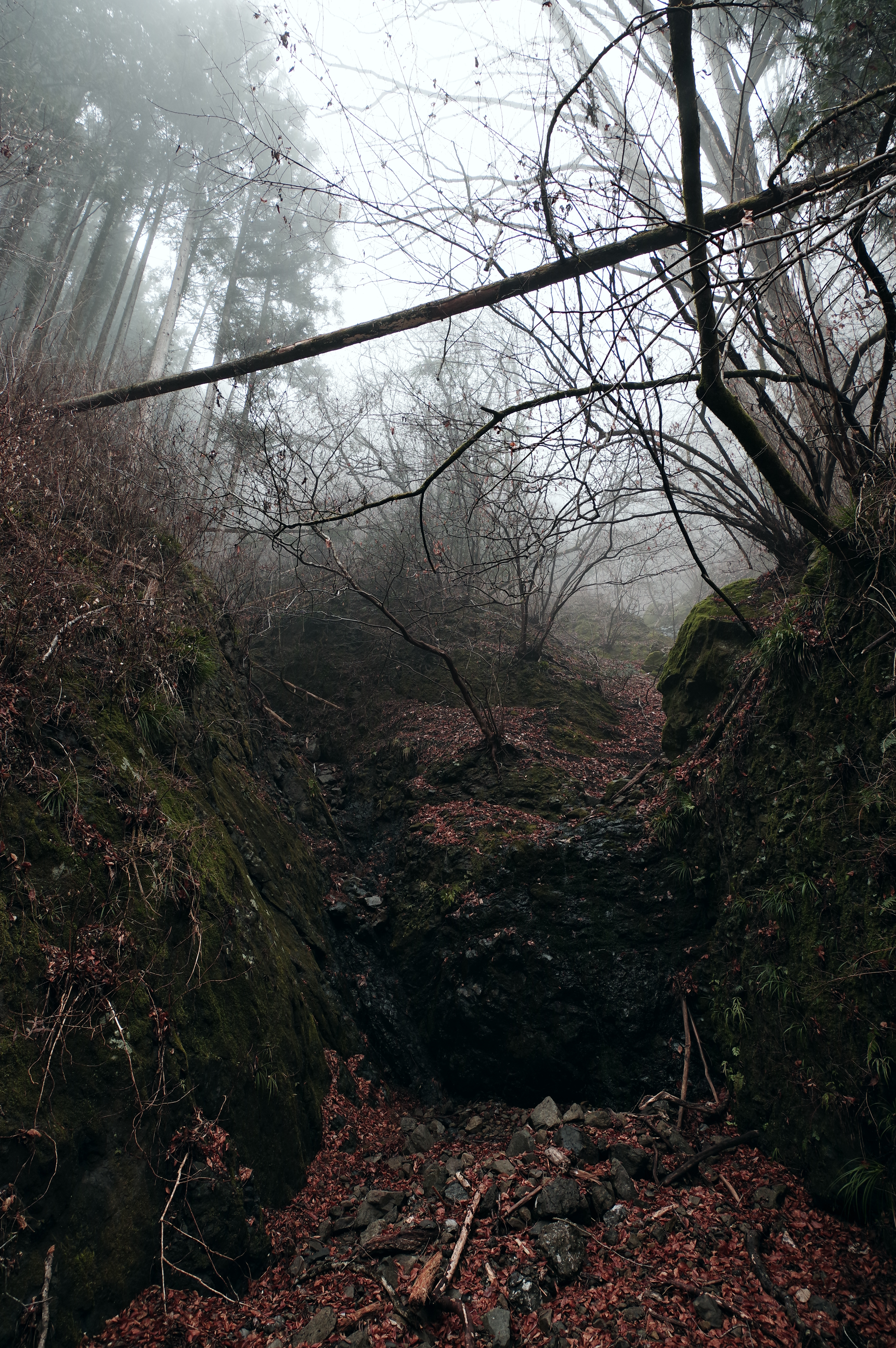 PENTAX KP J limited / HD PENTAX-DA★11-18mmF2.8ED DC AW（11mm） / 絞り優先AE（F4.0・1/50秒・-0.7EV） / ISO 400