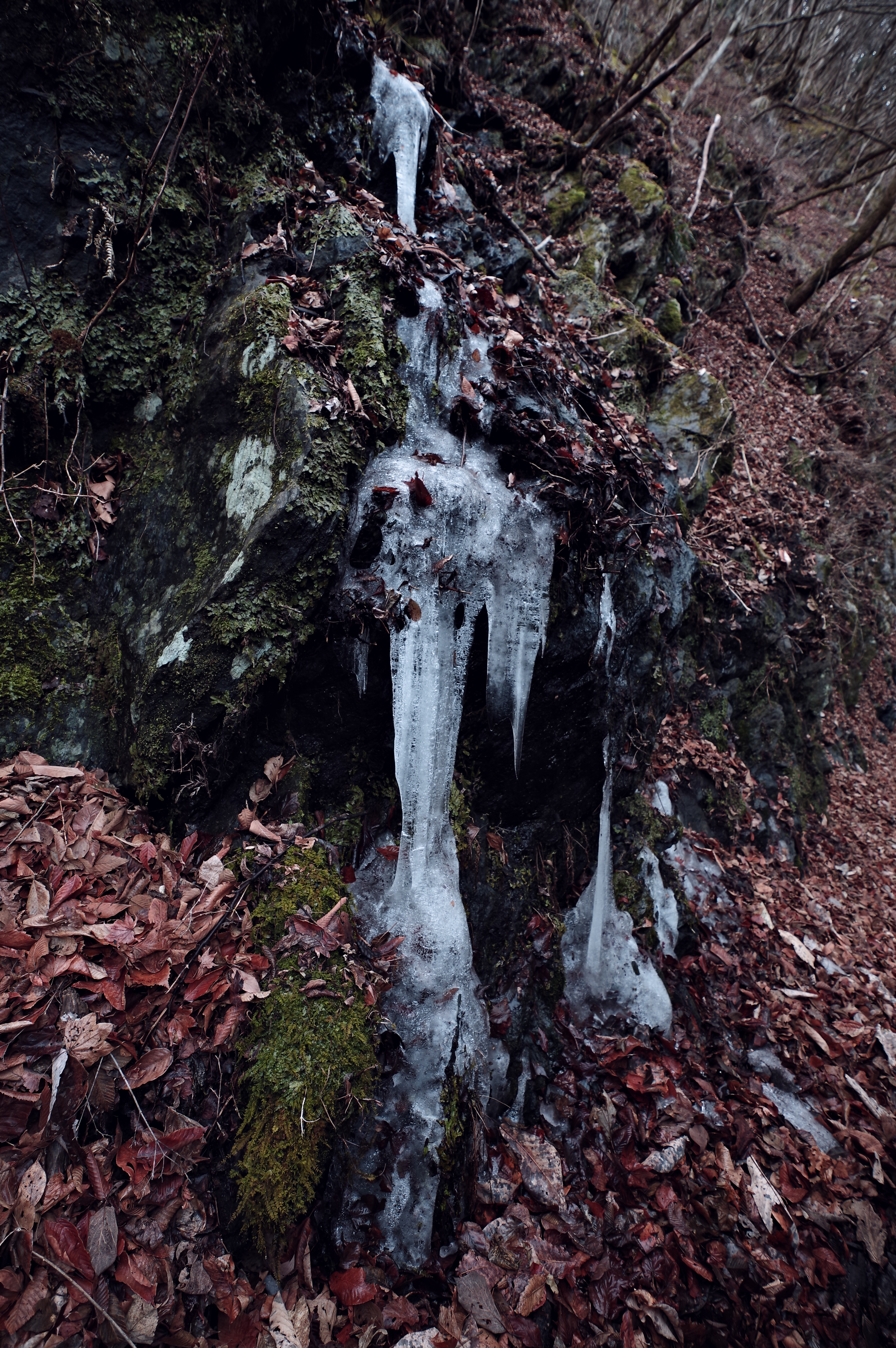 PENTAX KP J limited / HD PENTAX-DA★11-18mmF2.8ED DC AW（11mm） / 絞り優先AE（F4.0・1/25秒・-0.3EV） / ISO 400
