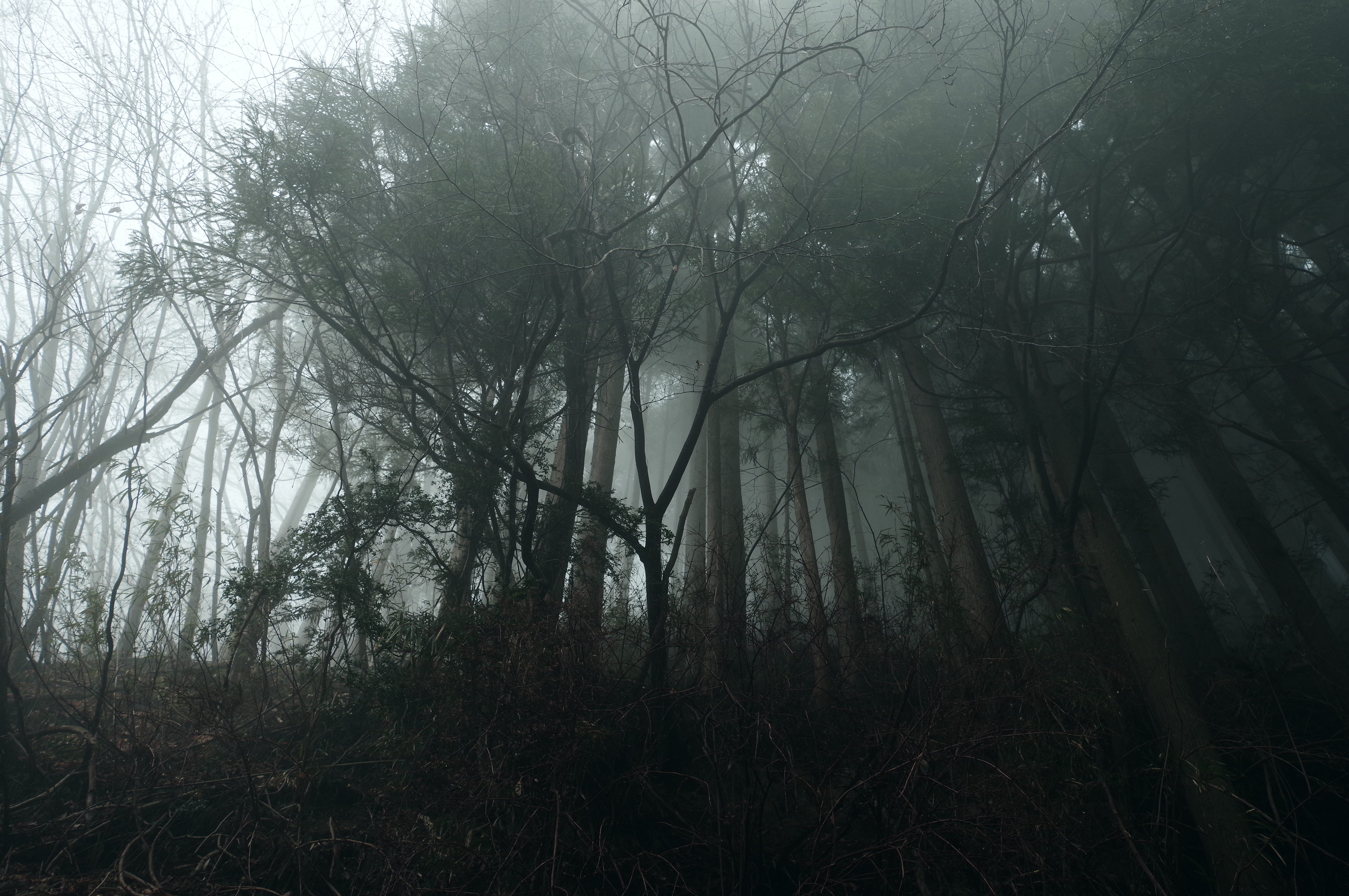 PENTAX KP J limited / HD PENTAX-DA★11-18mmF2.8ED DC AW（16mm） / 絞り優先AE（F4.0・1/80秒・-0.3EV） / ISO 400