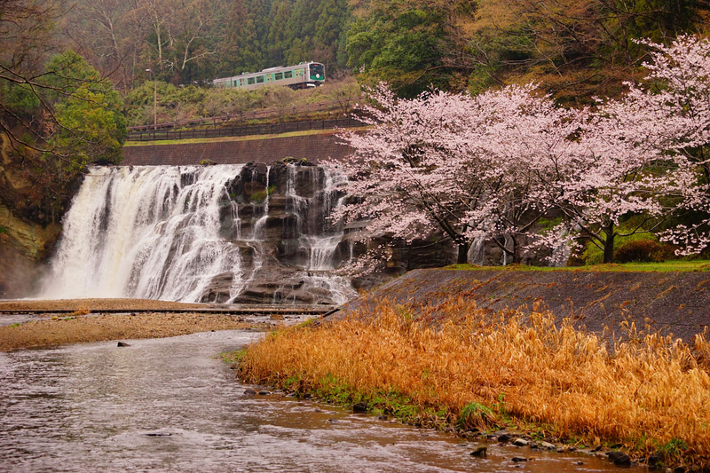 ソニーα7 II　70-400mm F4-5.6 G SSM II（80mm）　絞り優先オート（F5、1/200秒）　ISO 1000　WB:日陰（G+1）　風景