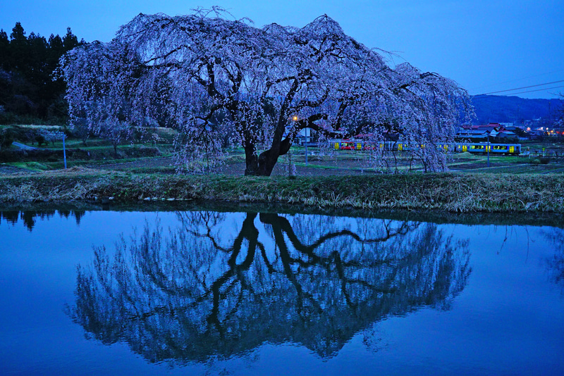 ソニーα7S　FE 24-70mm F4 ZA OSS（38mm）　絞り優先オート（F4、1/125秒）　ISO 2500　WB:太陽光